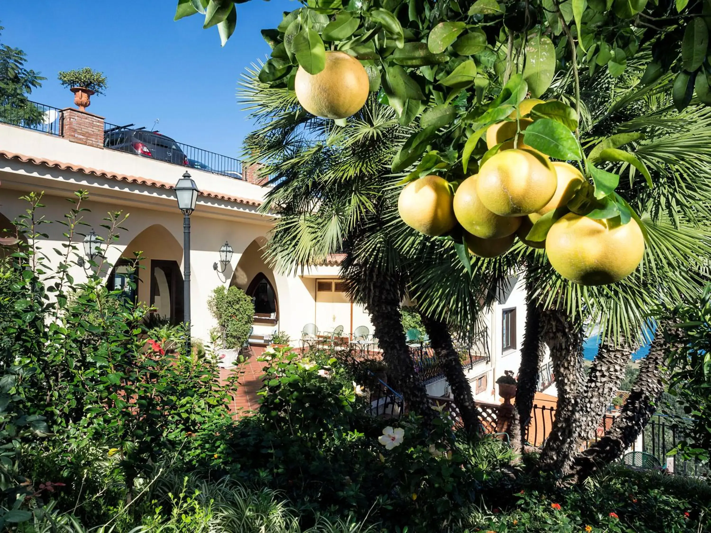 Garden view, Garden in Hotel Sirius