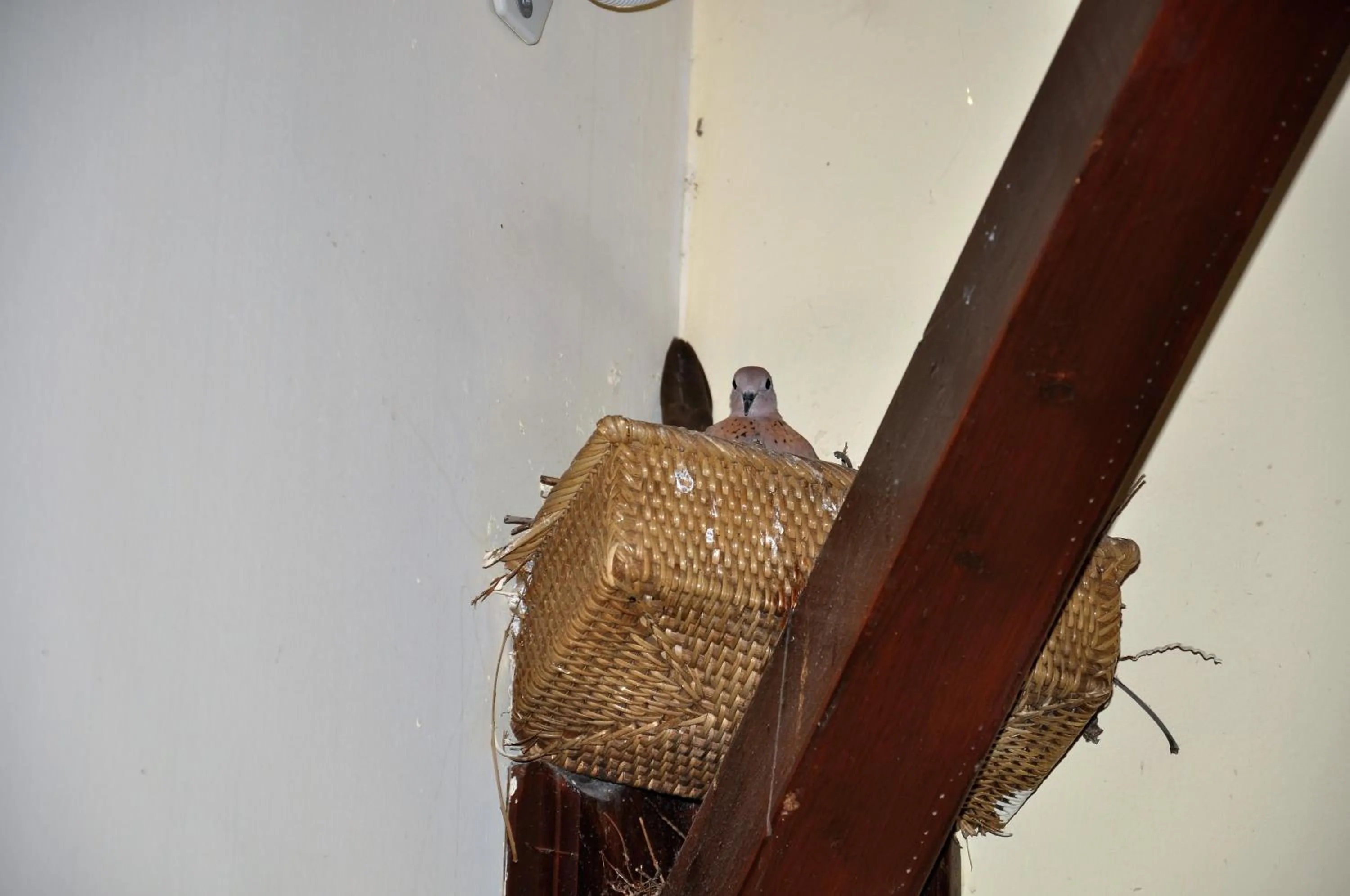 Other in Eski Masal Hotel - Special Class