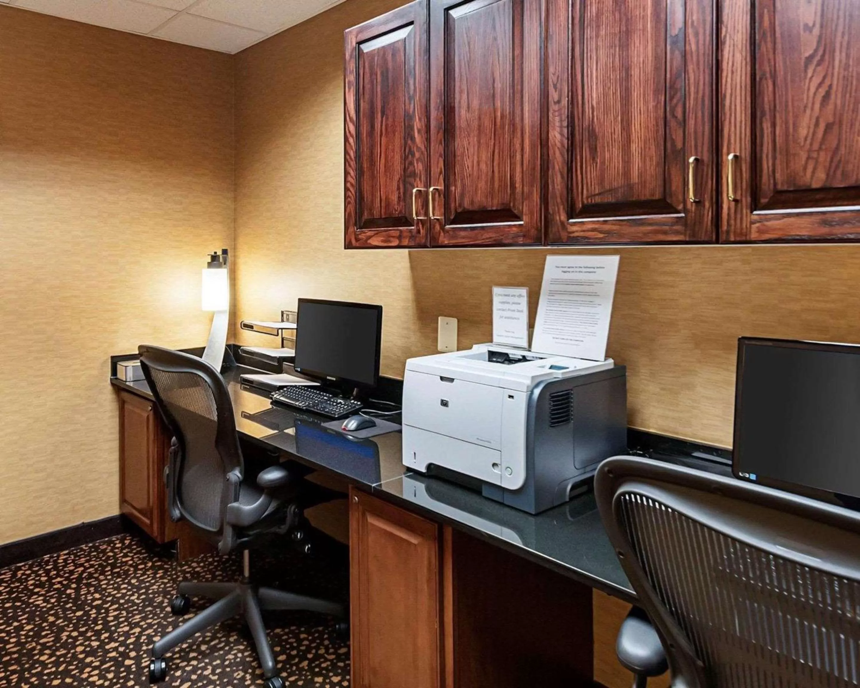 Business facilities in Comfort Suites Dulles Airport