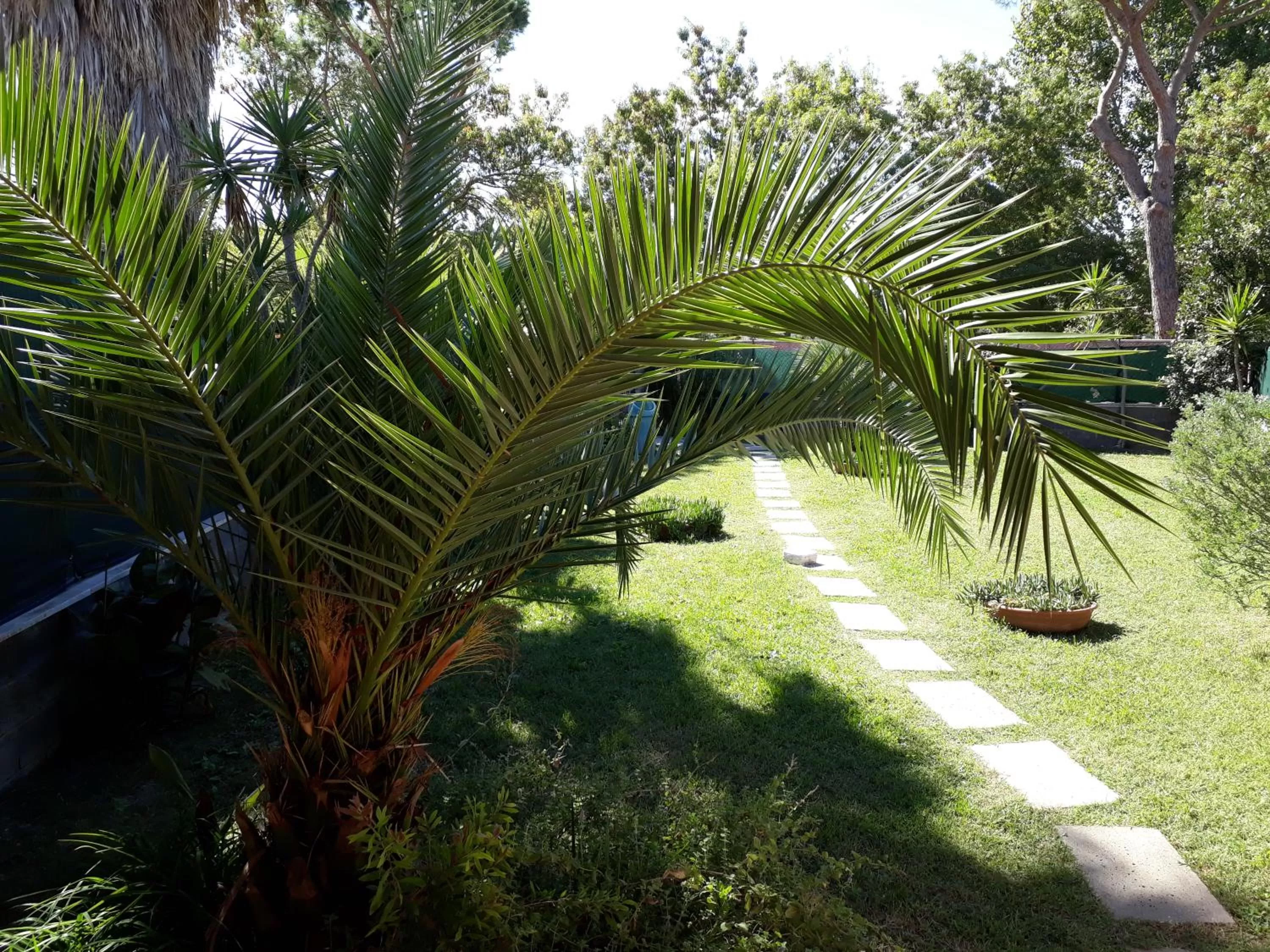 Property building, Garden in A57