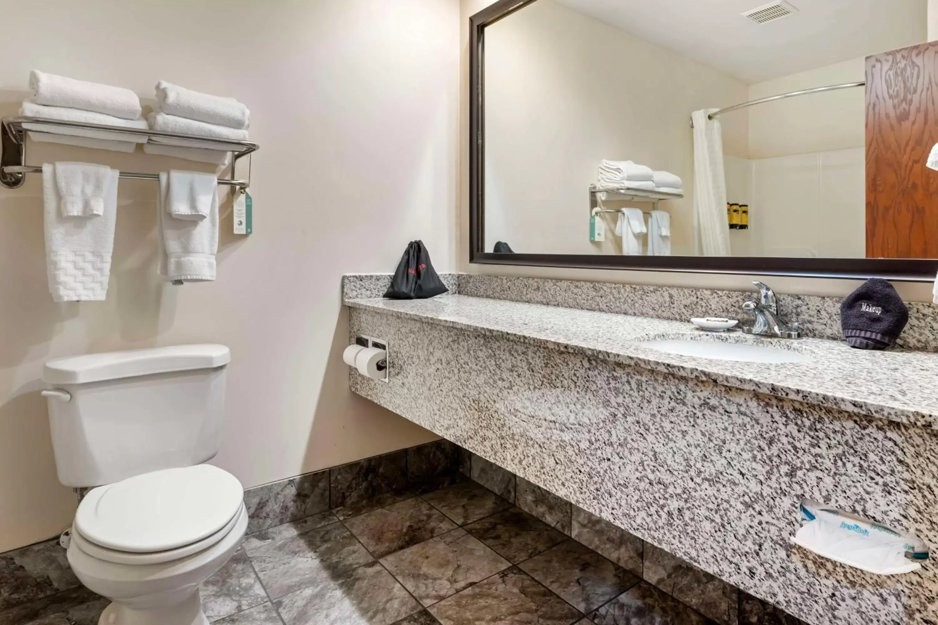 Bathroom in Best Western Plus Eau Claire Conference Center