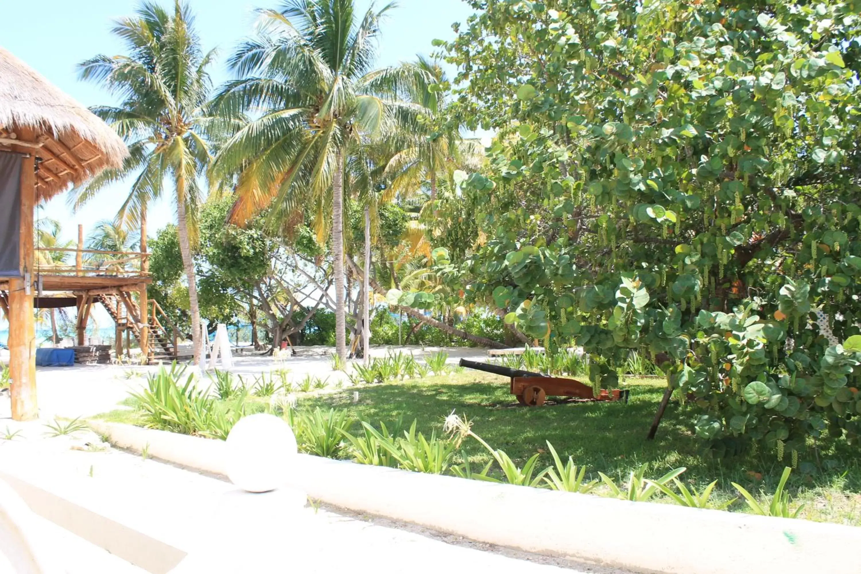 Garden in Cabanas Maria Del Mar