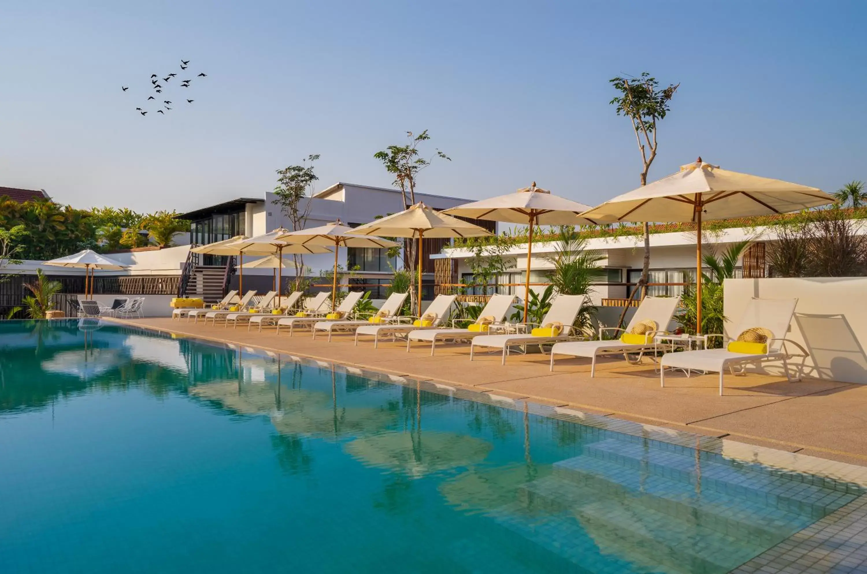 Swimming Pool in The Aviary Hotel