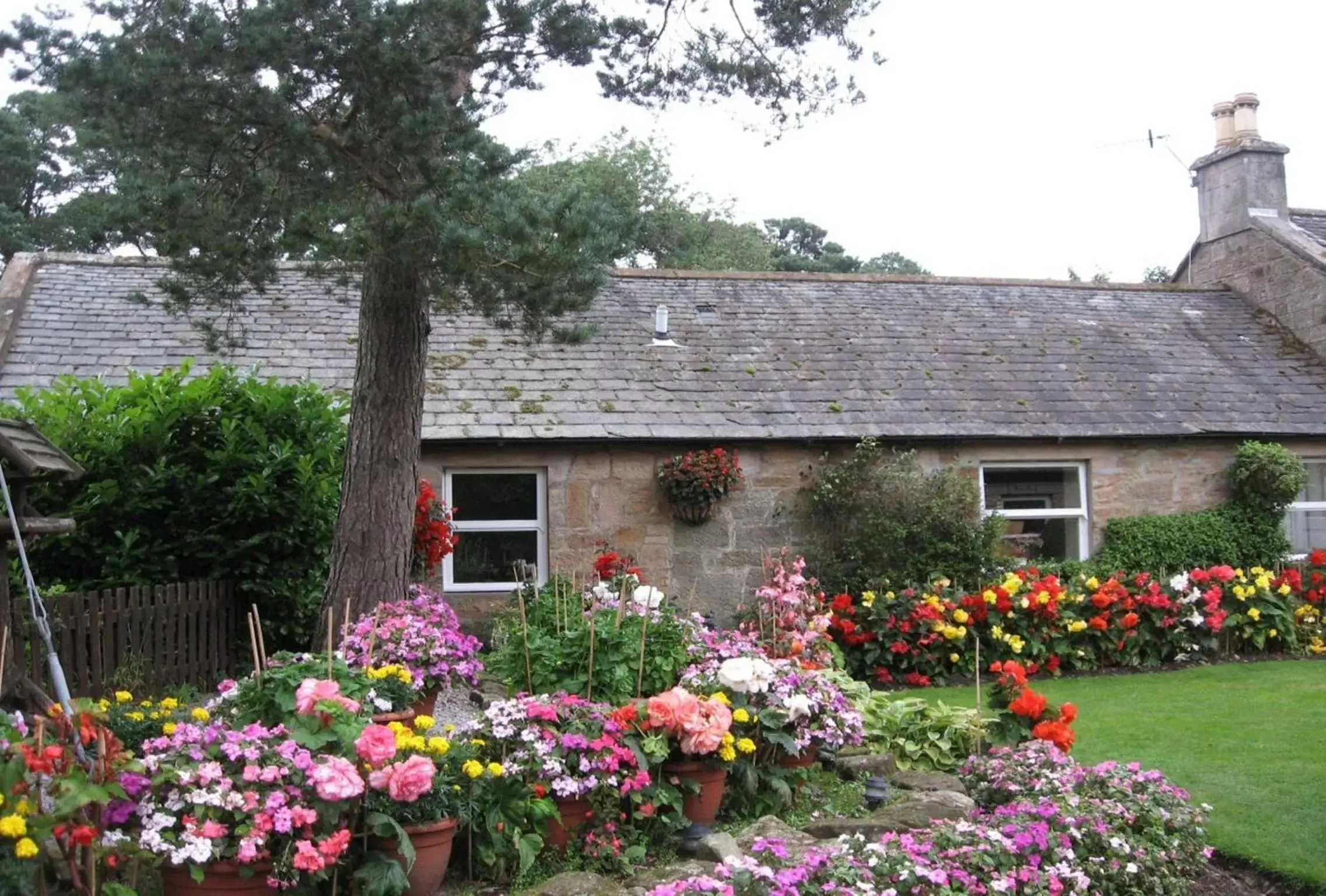 Garden, Property Building in Blackaddie House Hotel