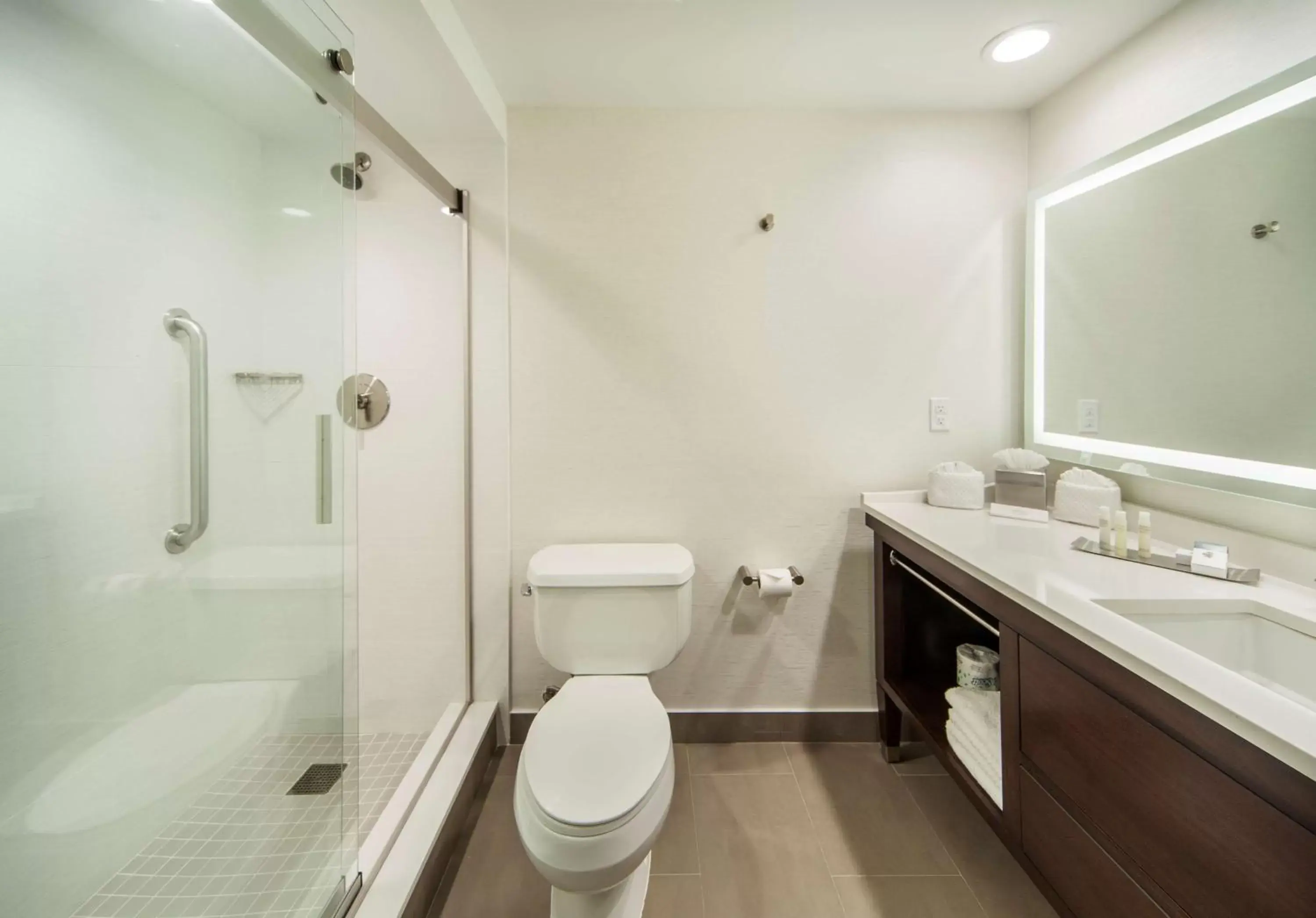 Bathroom in DoubleTree by Hilton Nanuet