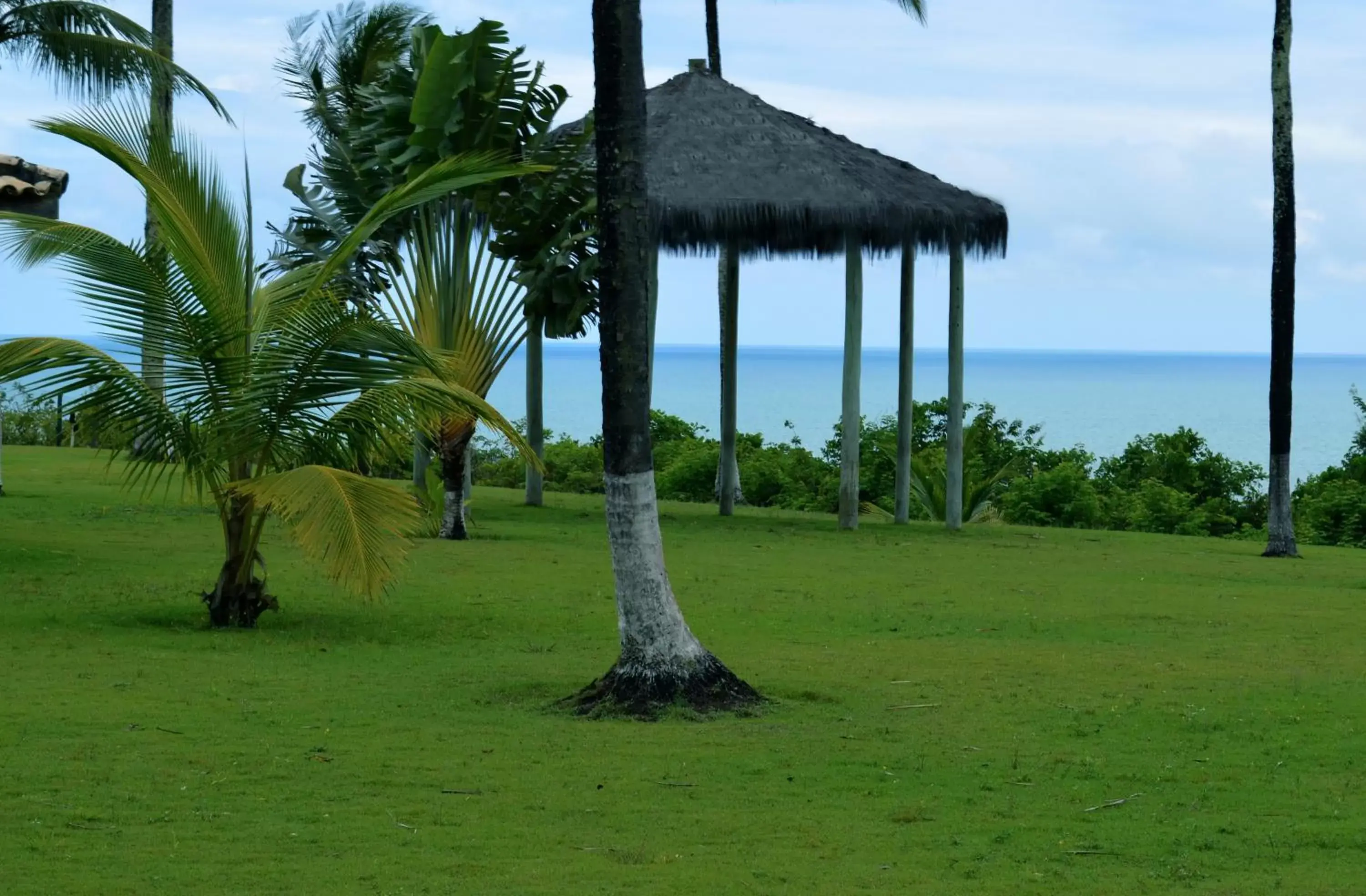 Superior Room with Sea View in Porto Seguro Eco Bahia Hotel