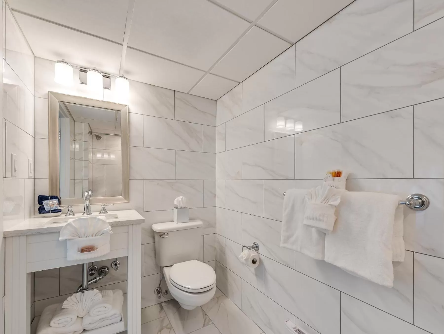 Toilet in ICONA Cape May