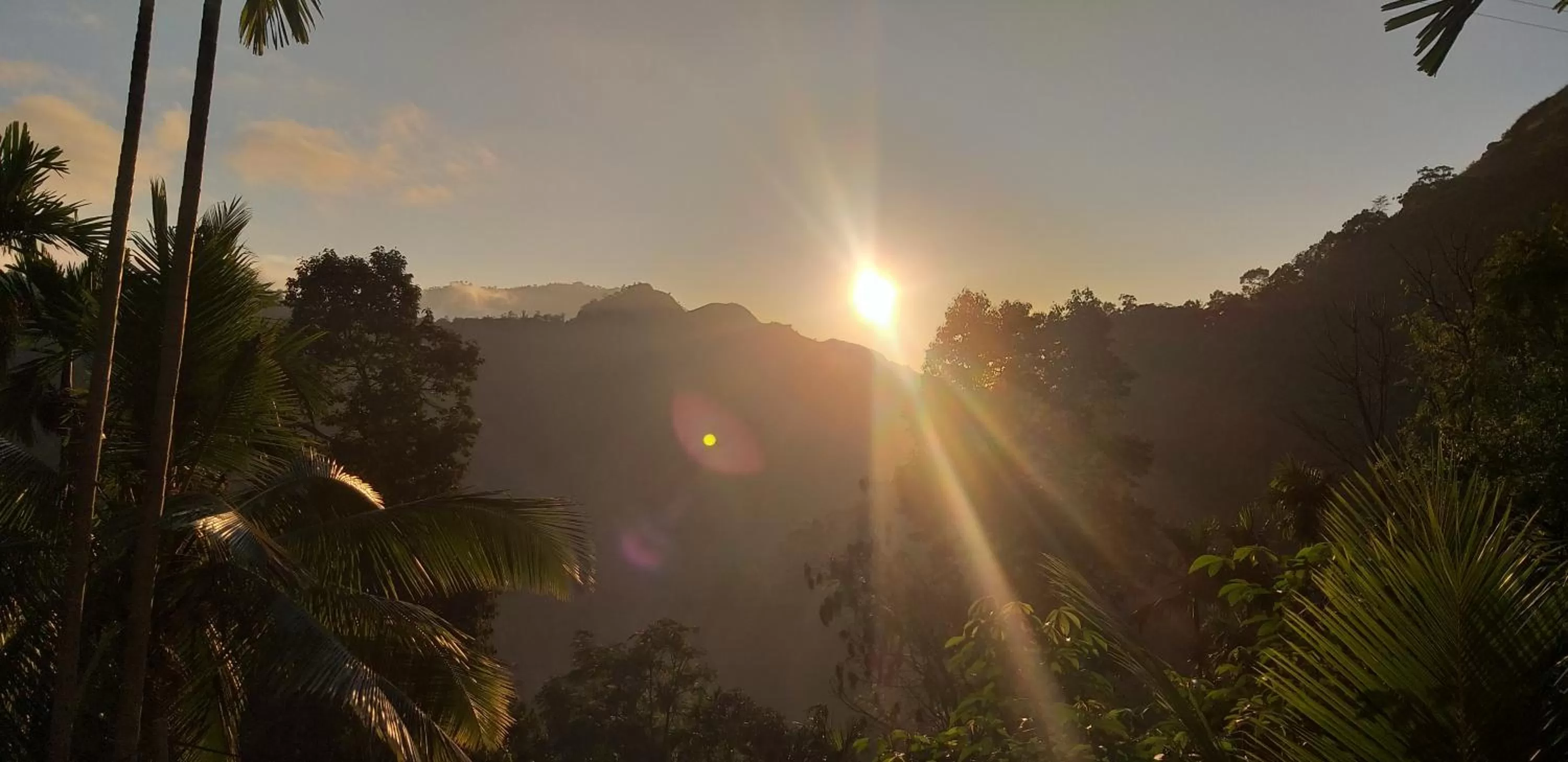 Sunrise in Different View