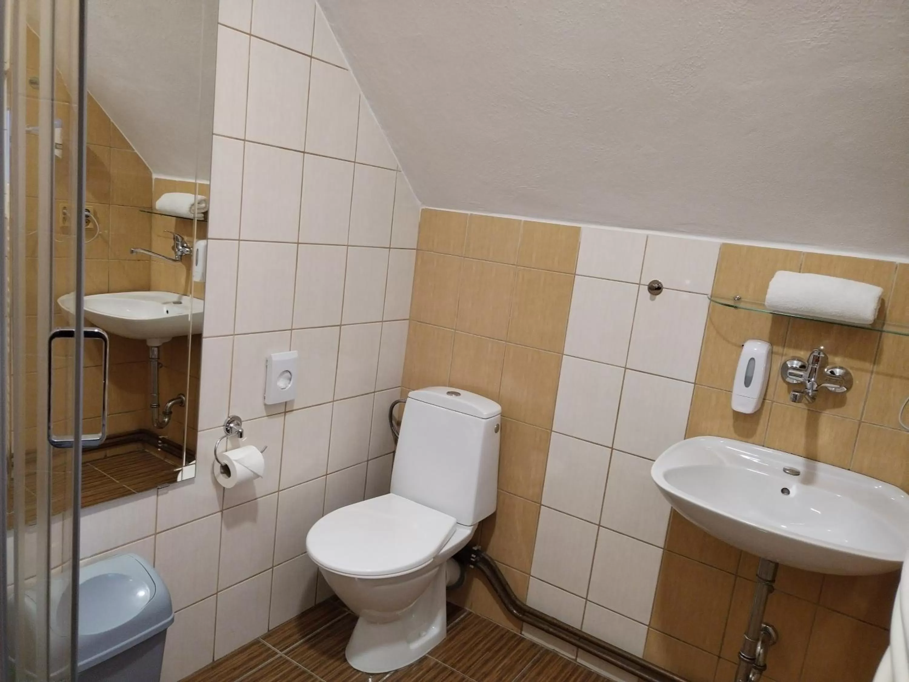Toilet in Hotel Boršičanka