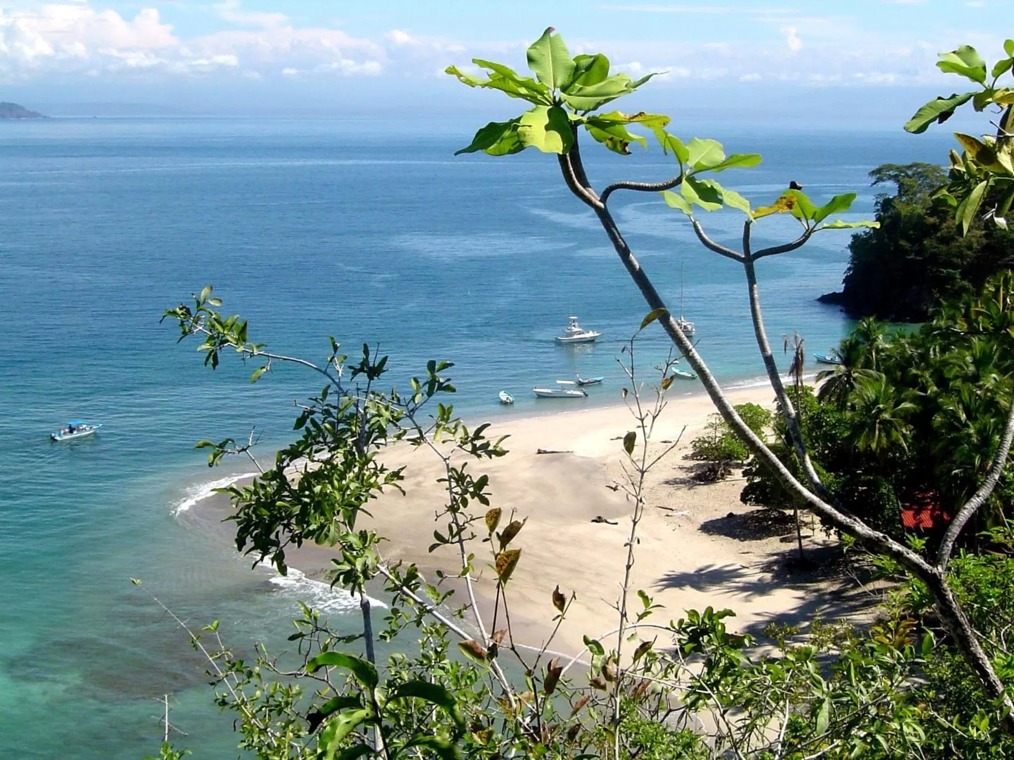Beach in Eco Boutique Hotel Vista Las Islas Reserva Natural