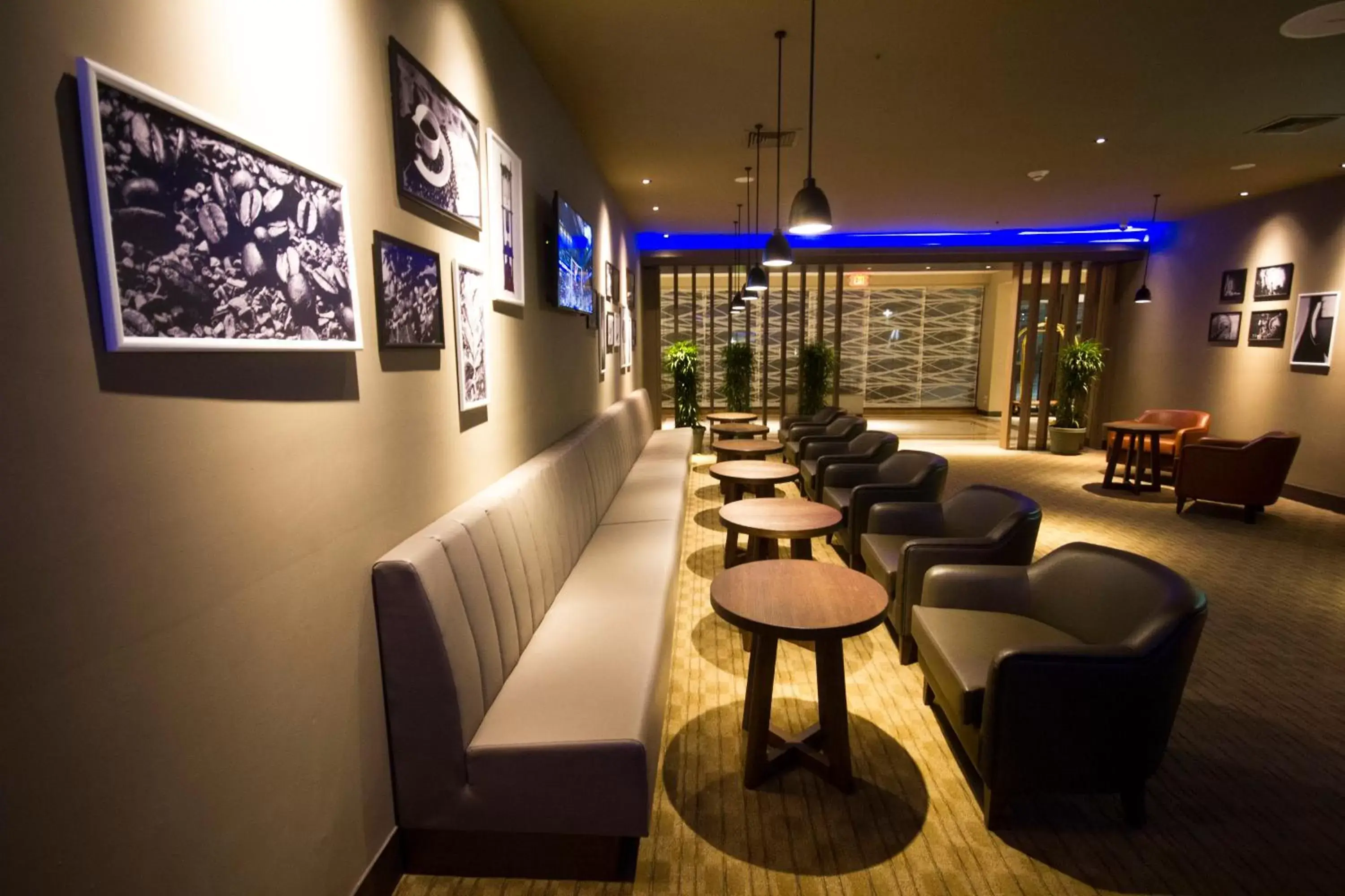 Lounge or bar, Lounge/Bar in Crowne Plaza Managua, an IHG Hotel