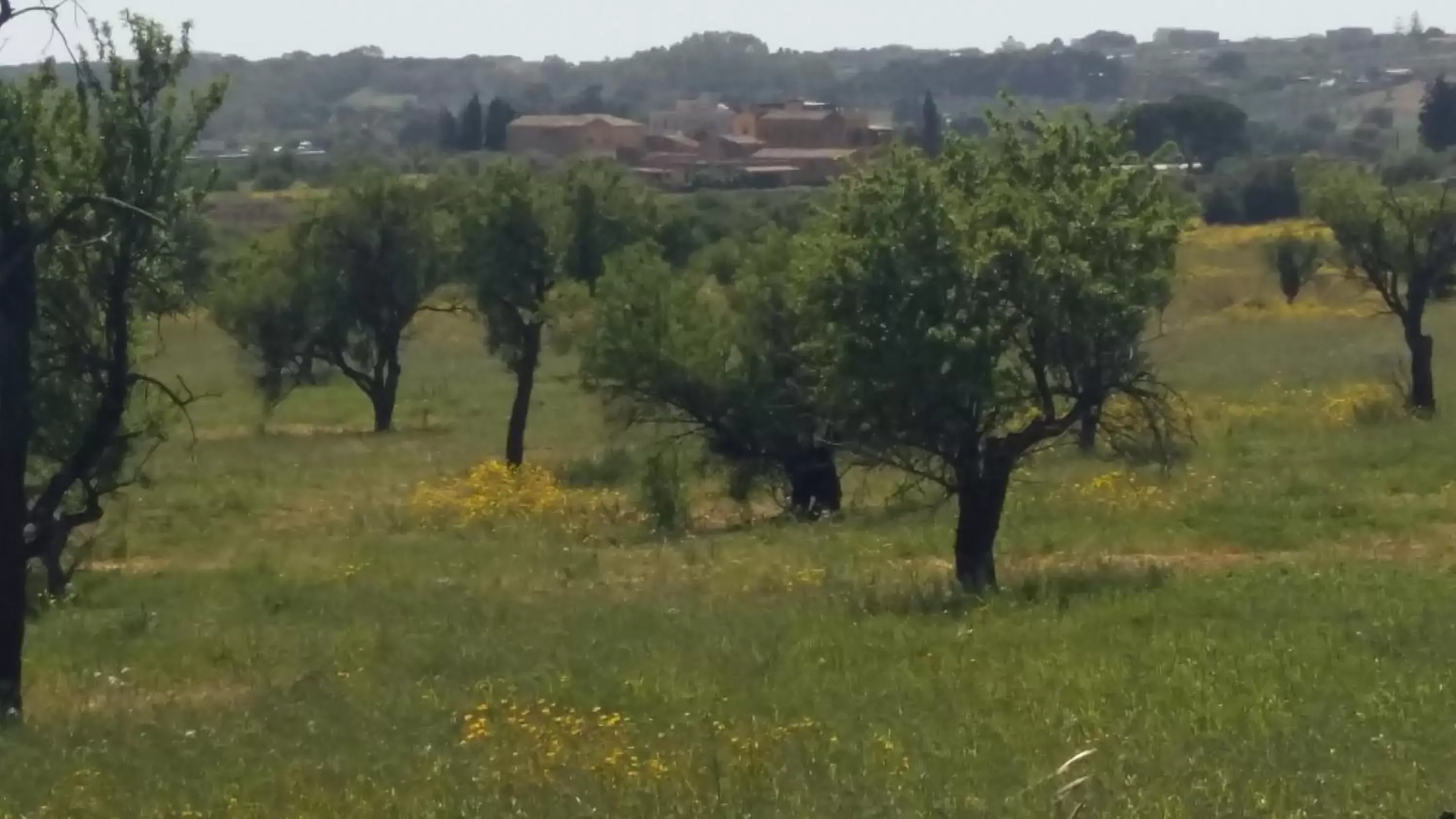 Natural landscape in Vento di Tramontana