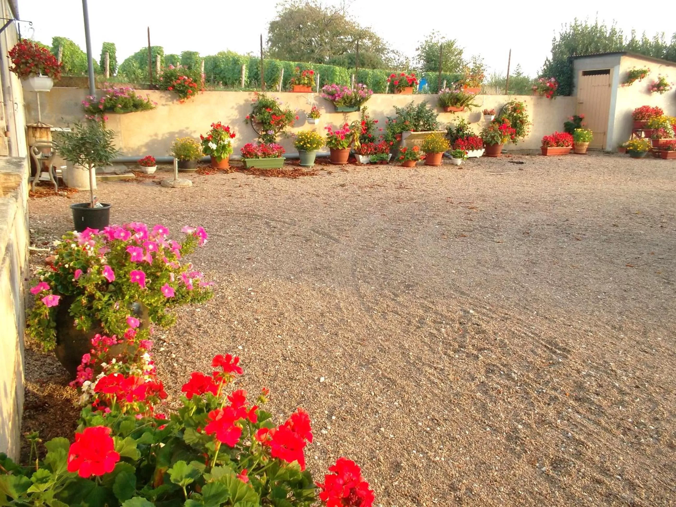 Garden view in Armalou