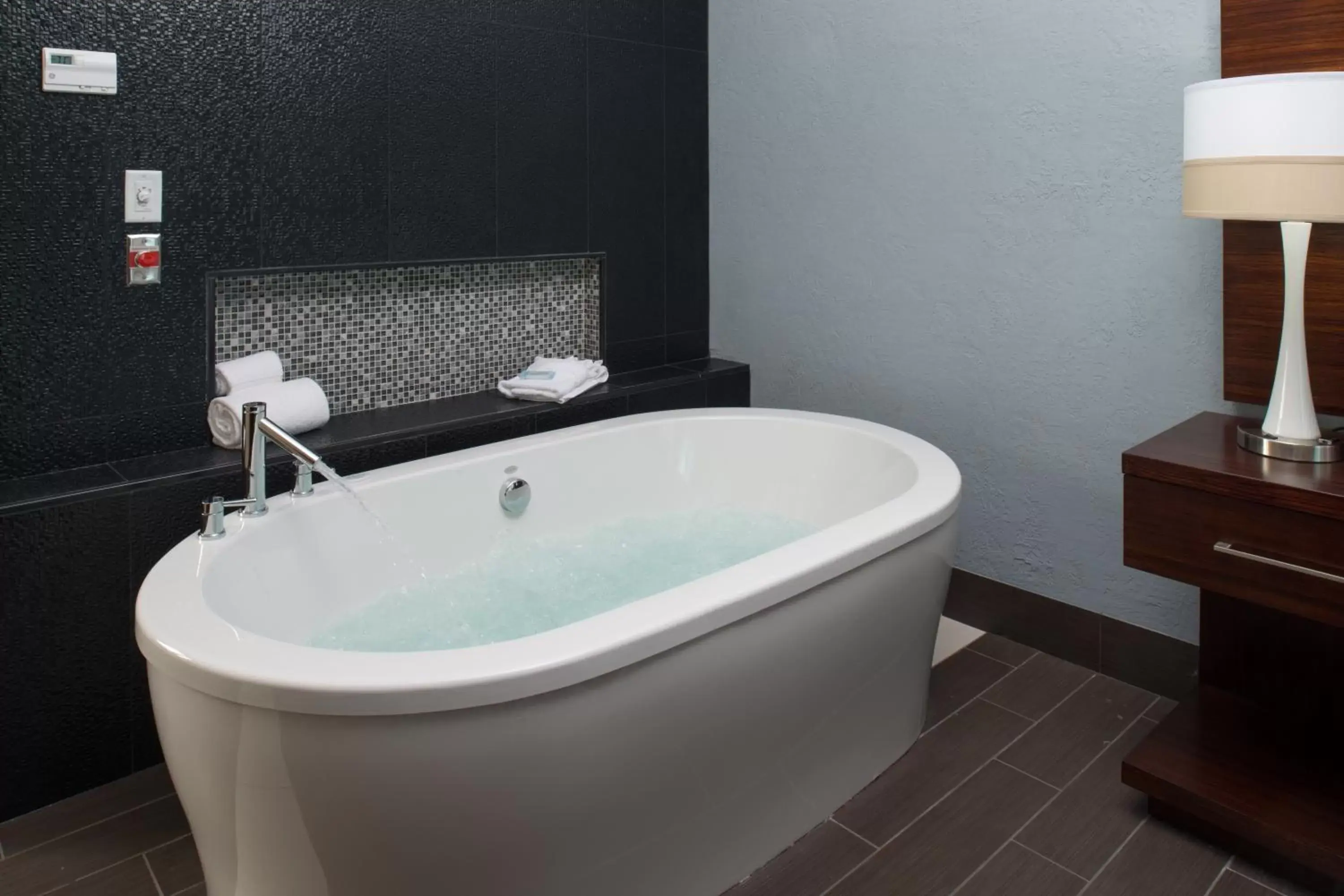 Photo of the whole room, Bathroom in Holiday Inn Express & Suites Kansas City Airport, an IHG Hotel