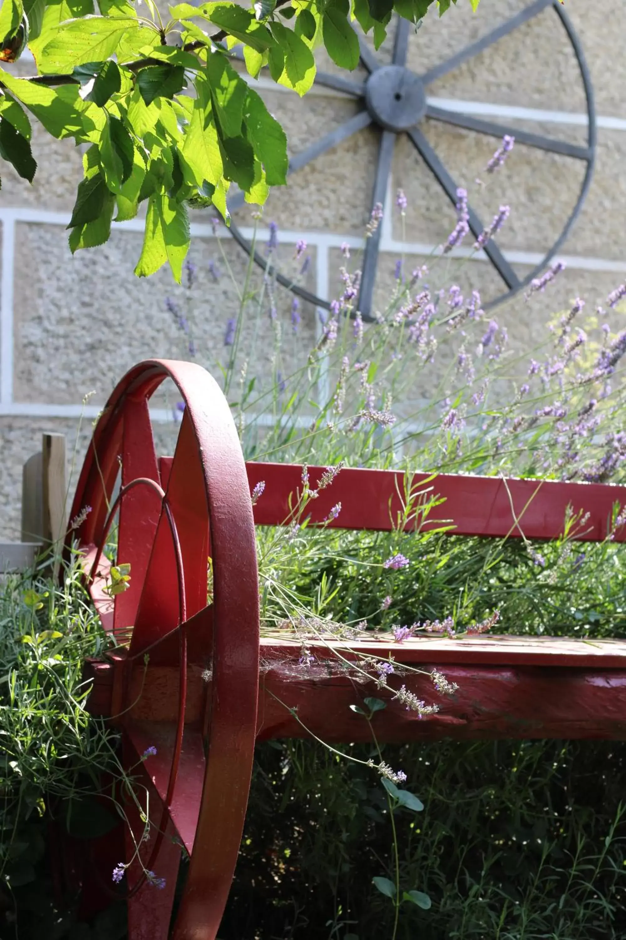 Garden in Casa da Aldeia da Avó