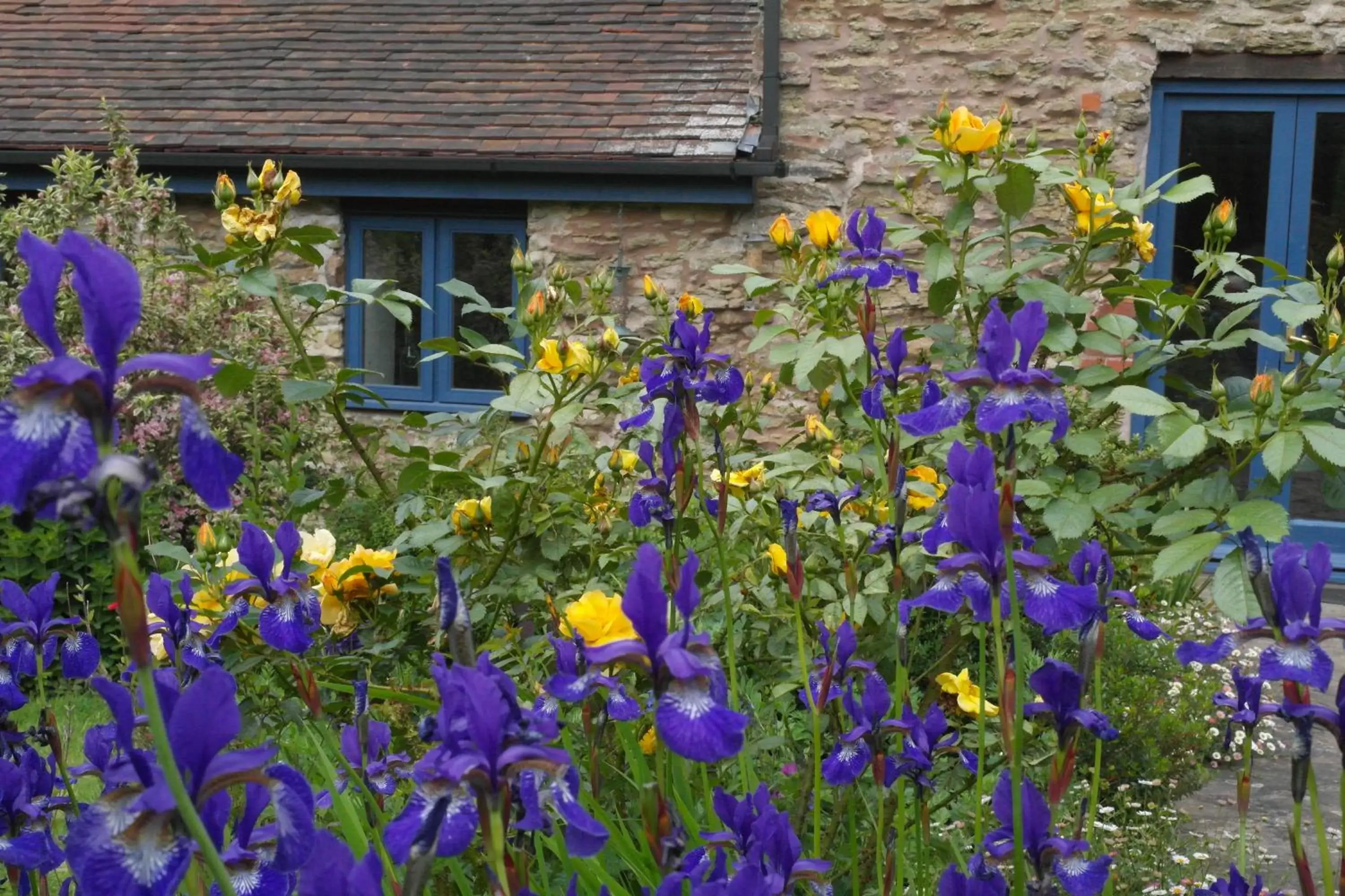 Garden in Prospect BARN