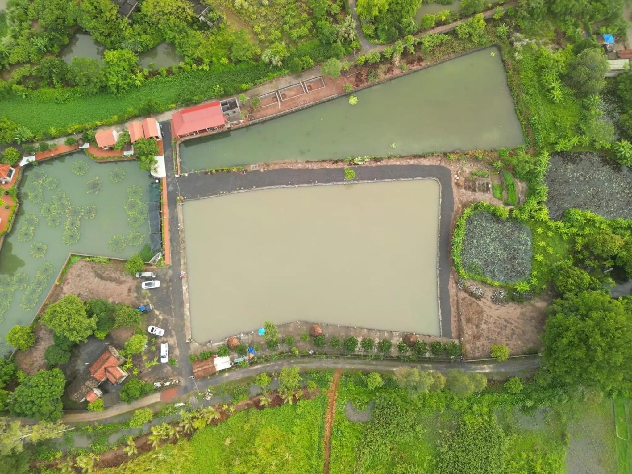 Neighbourhood, Bird's-eye View in Tam Coc Cat Luong Homestay