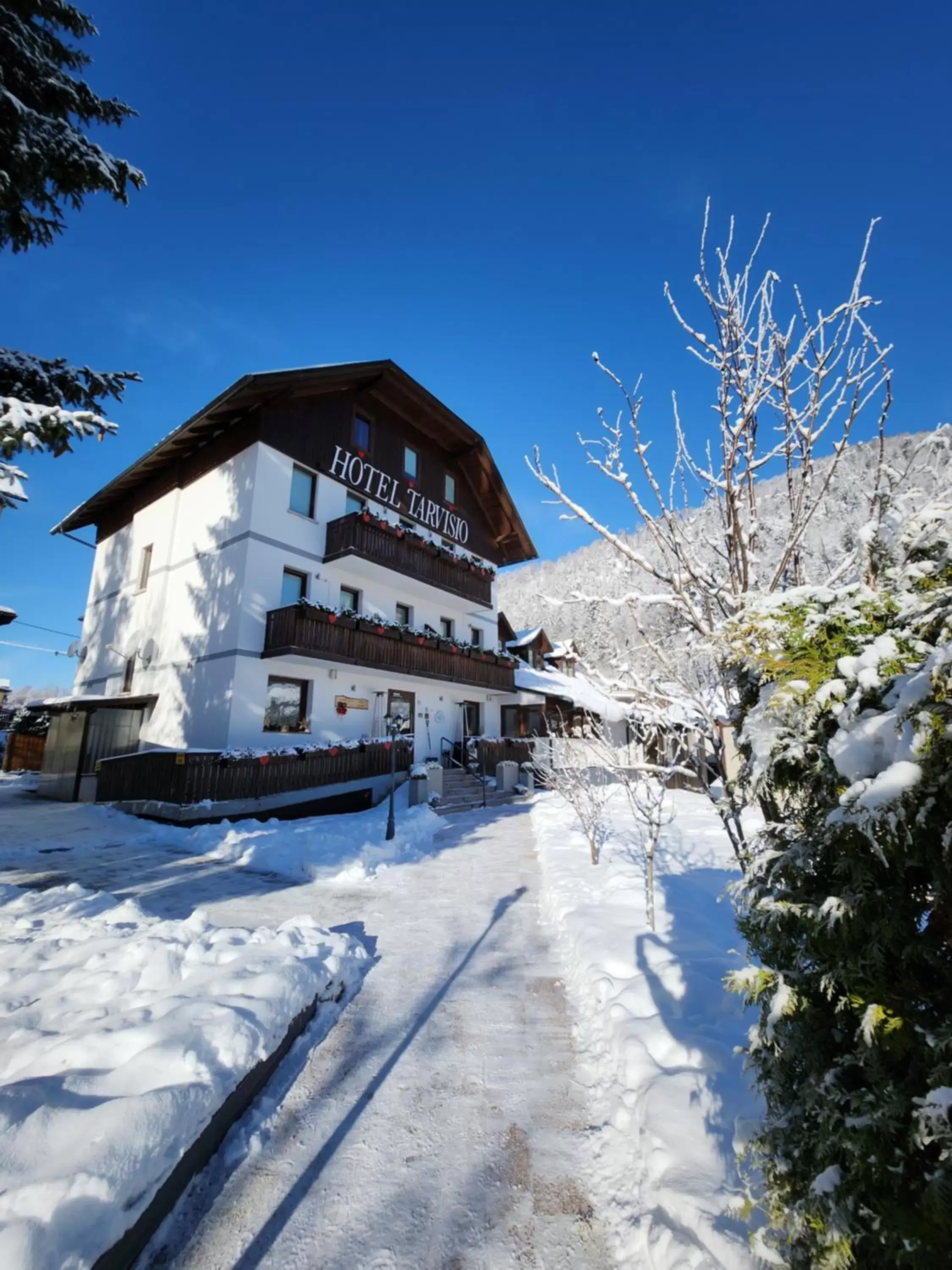 Winter in Hotel Tarvisio Bike & Ski