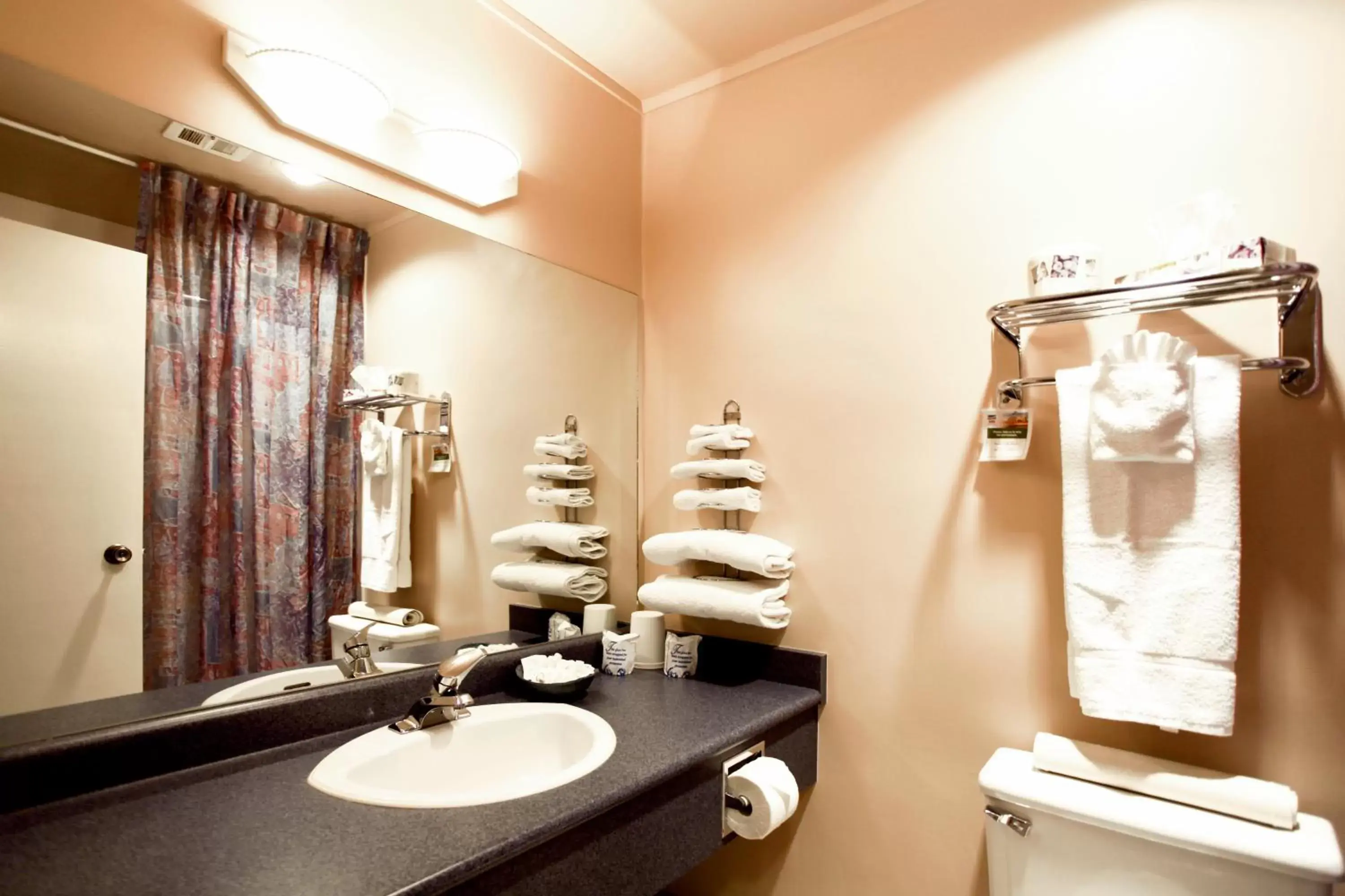 Bathroom in Sidney Waterfront Inn