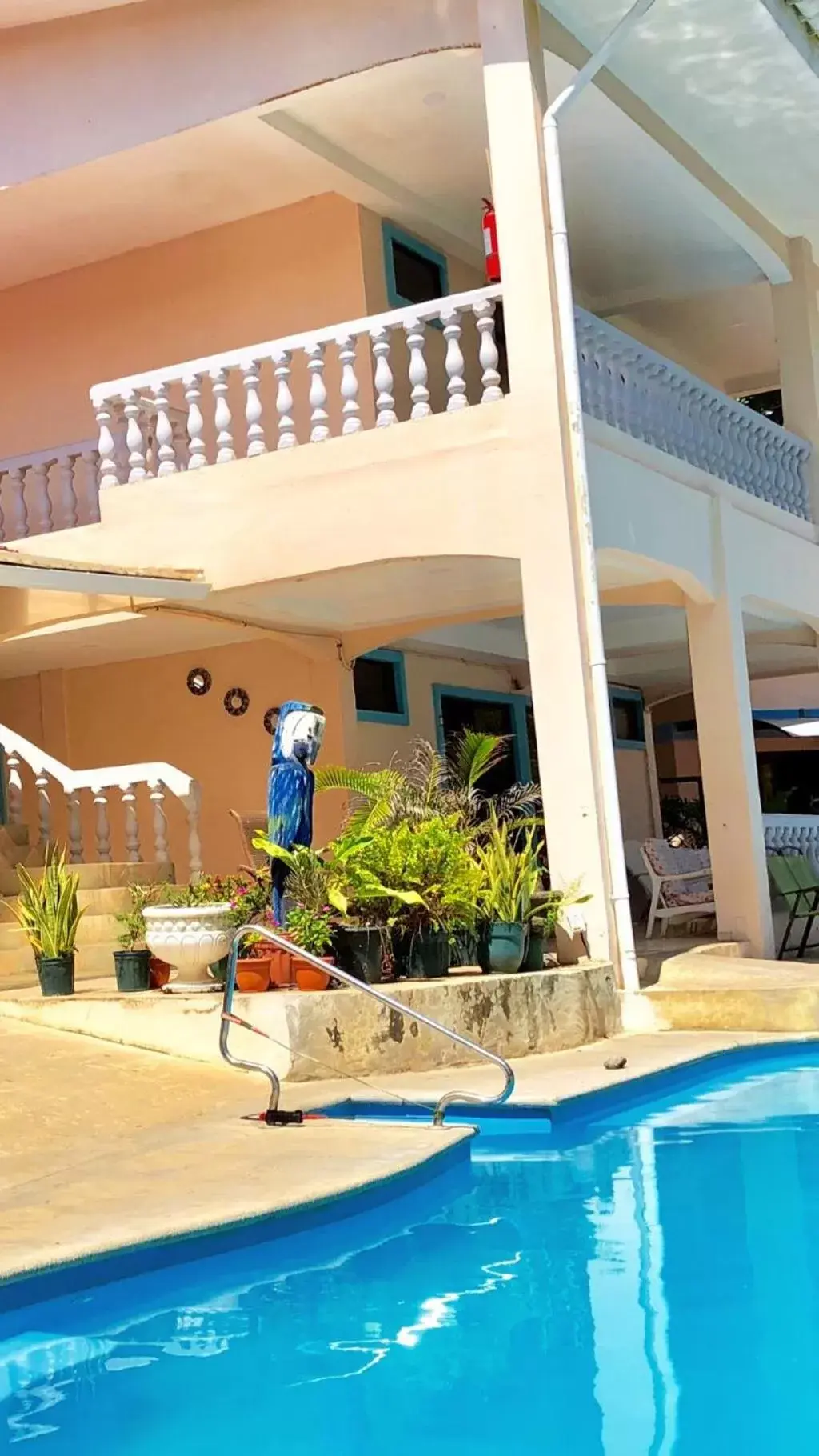 Area and facilities, Swimming Pool in Hotel Beachfront Vista Hermosa