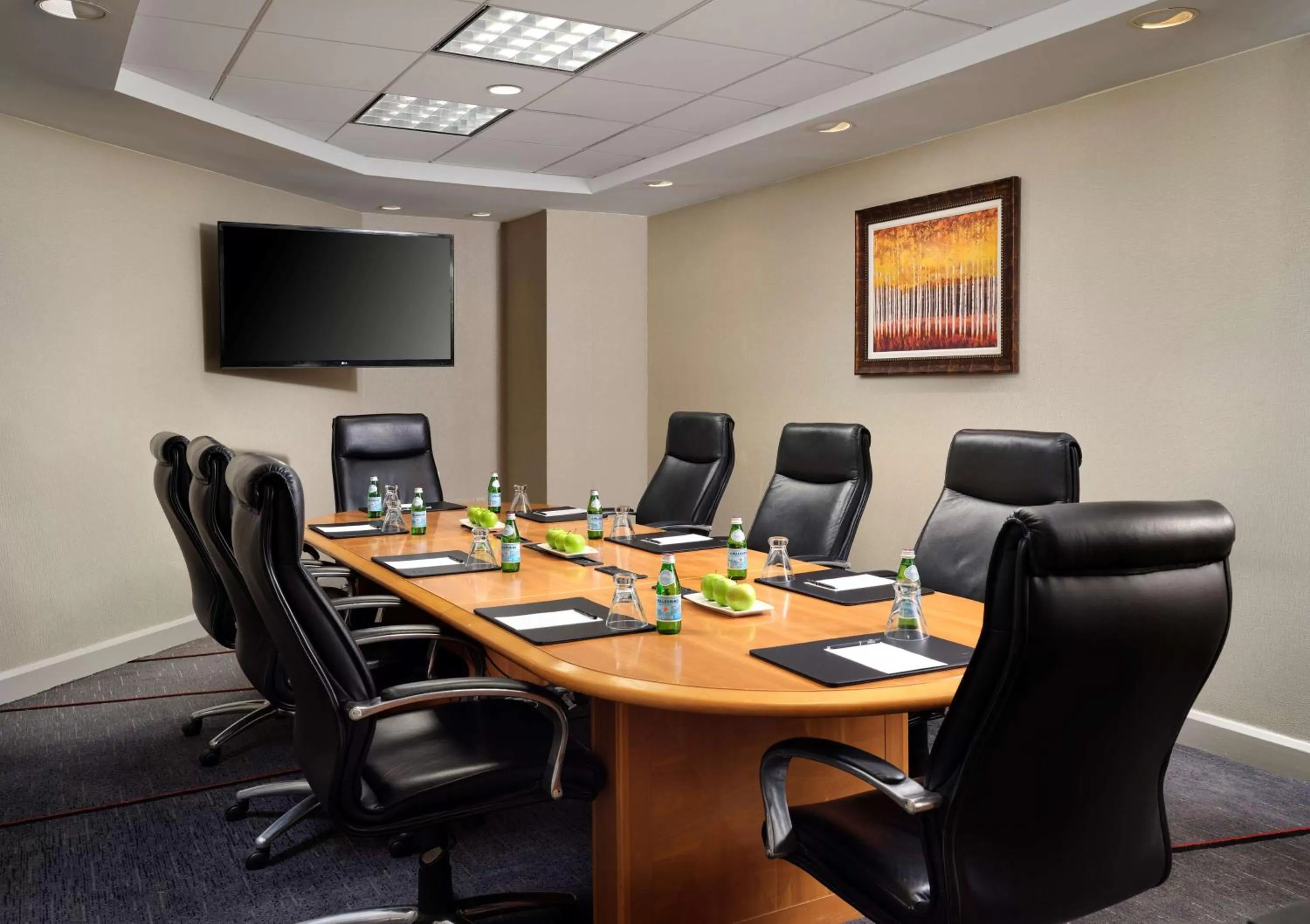 Meeting/conference room in Hilton Arlington