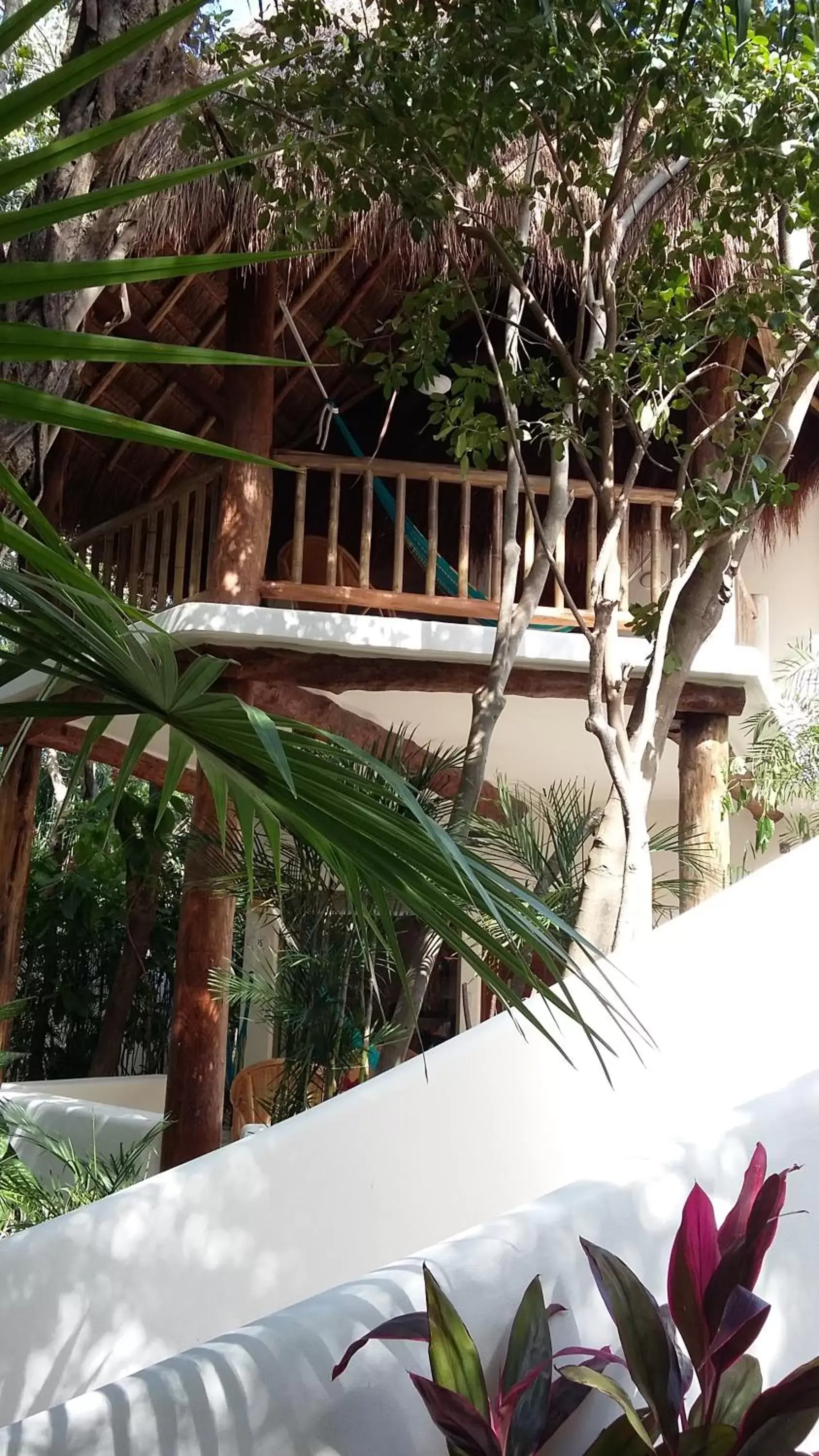 Garden view in Riviera Maya Suites