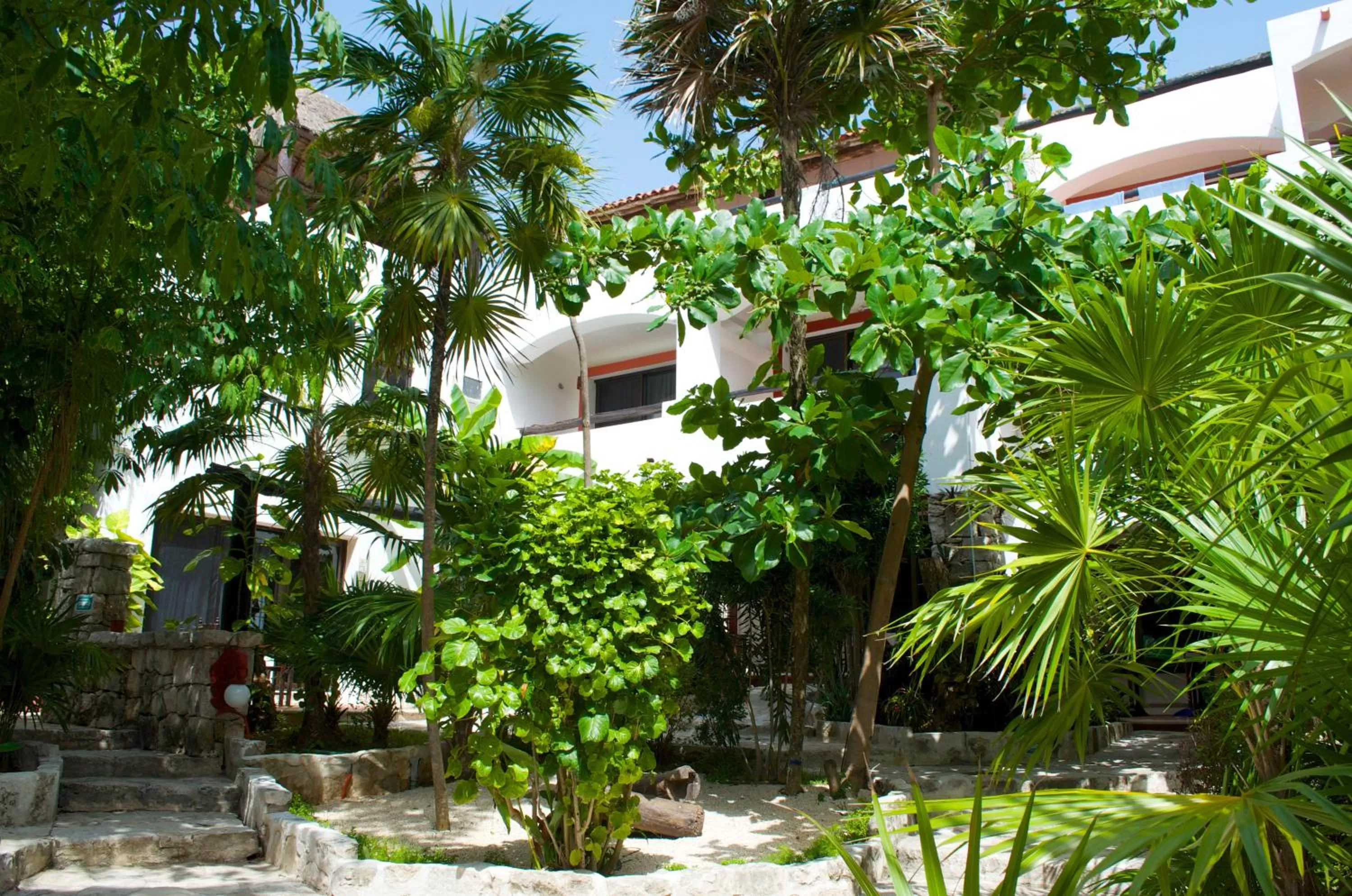 Garden in Pelicano Inn Playa del Carmen - Beachfront Hotel