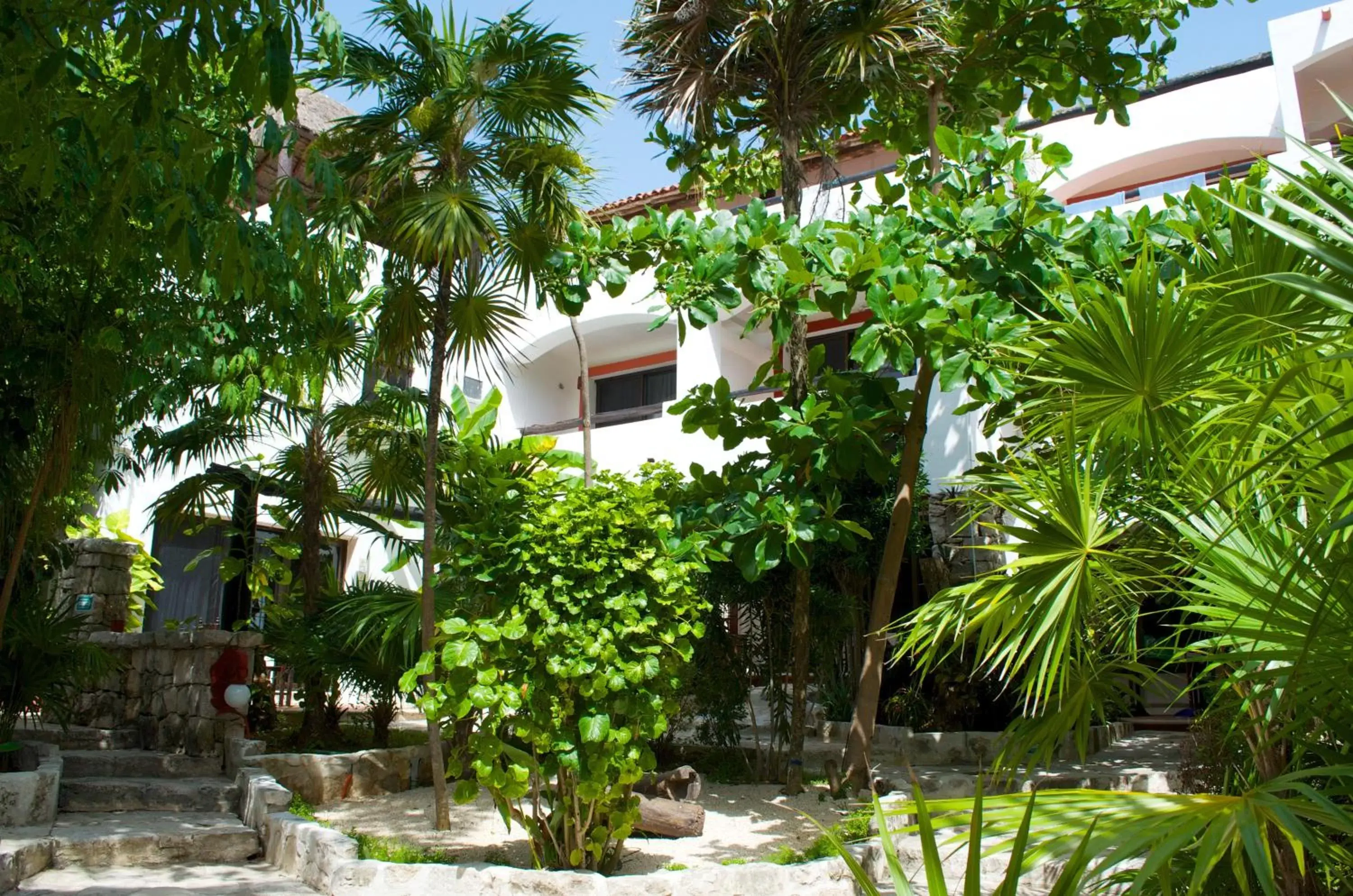 Garden, Property Building in Pelicano Inn Playa del Carmen - Beachfront Hotel