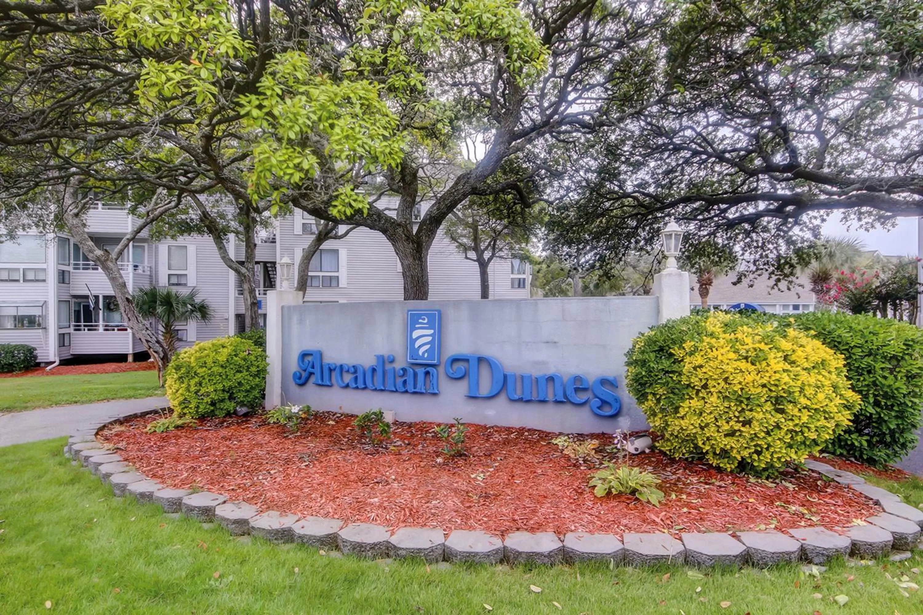 Arcadian Dunes 26-507