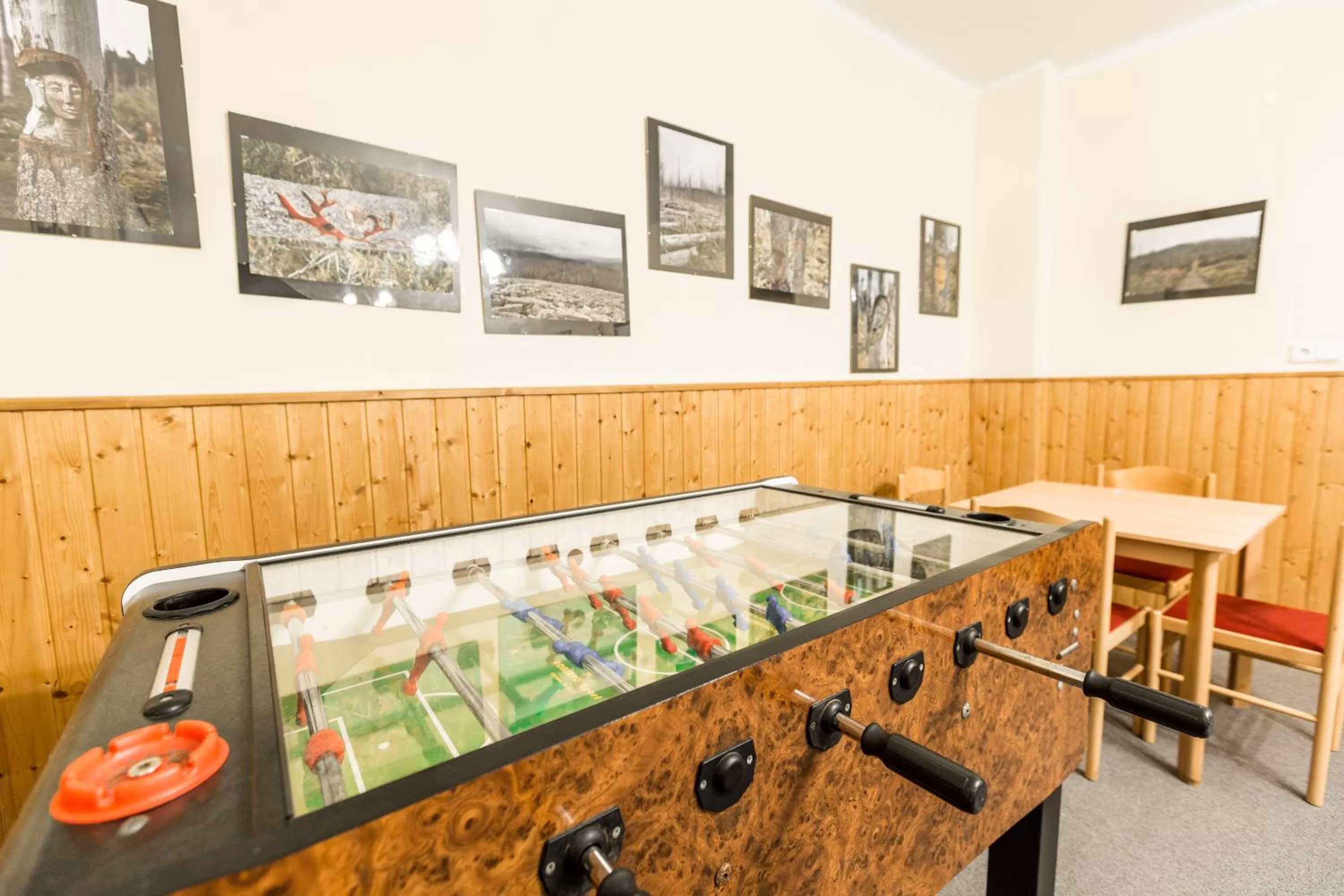 Activities in Hotel Gradl