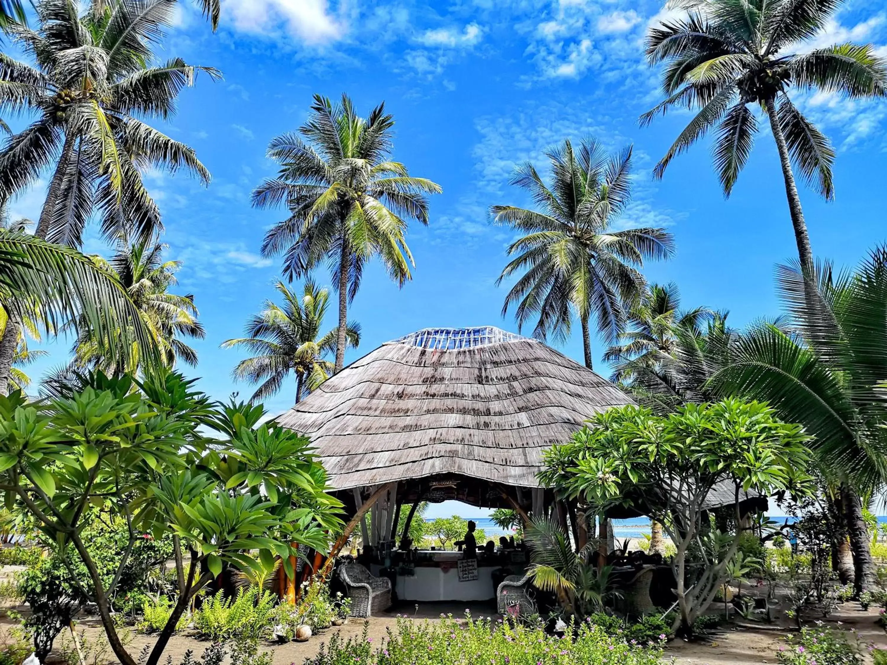Garden in Coconut Garden Beach Resort
