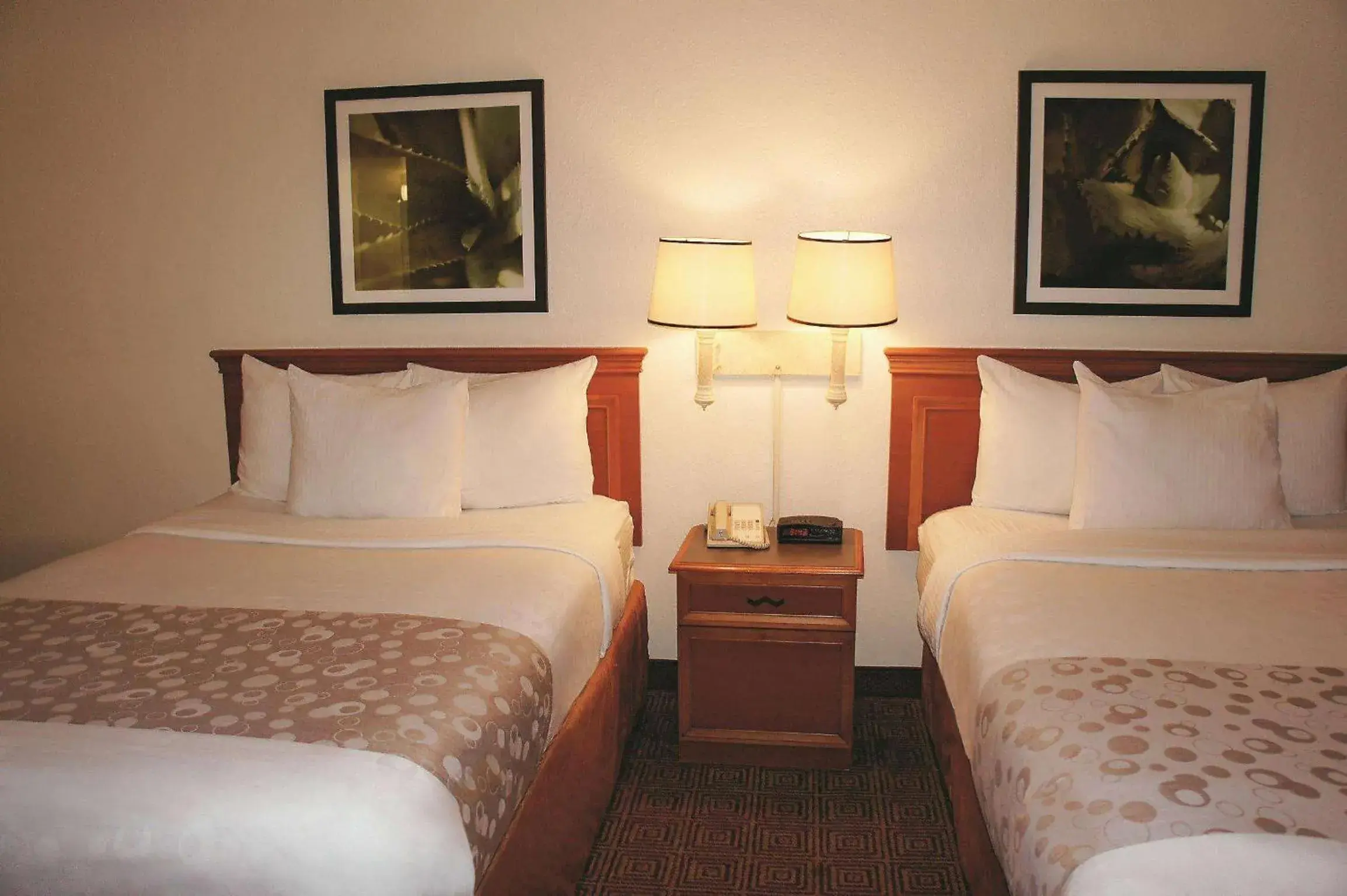 Photo of the whole room, Bed in Days Inn by Wyndham Augusta Washington Rd