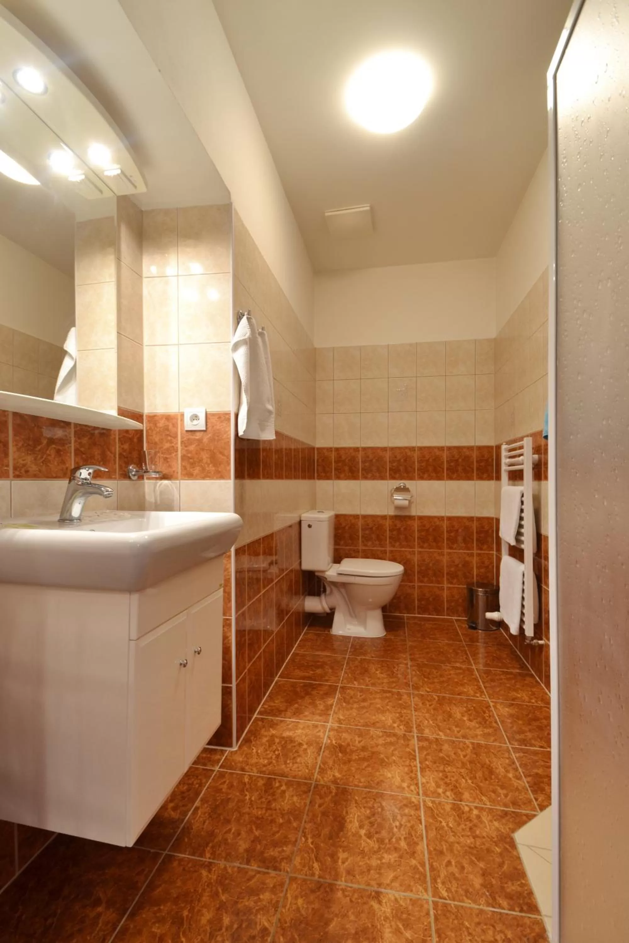 Bathroom in Hotel Palác