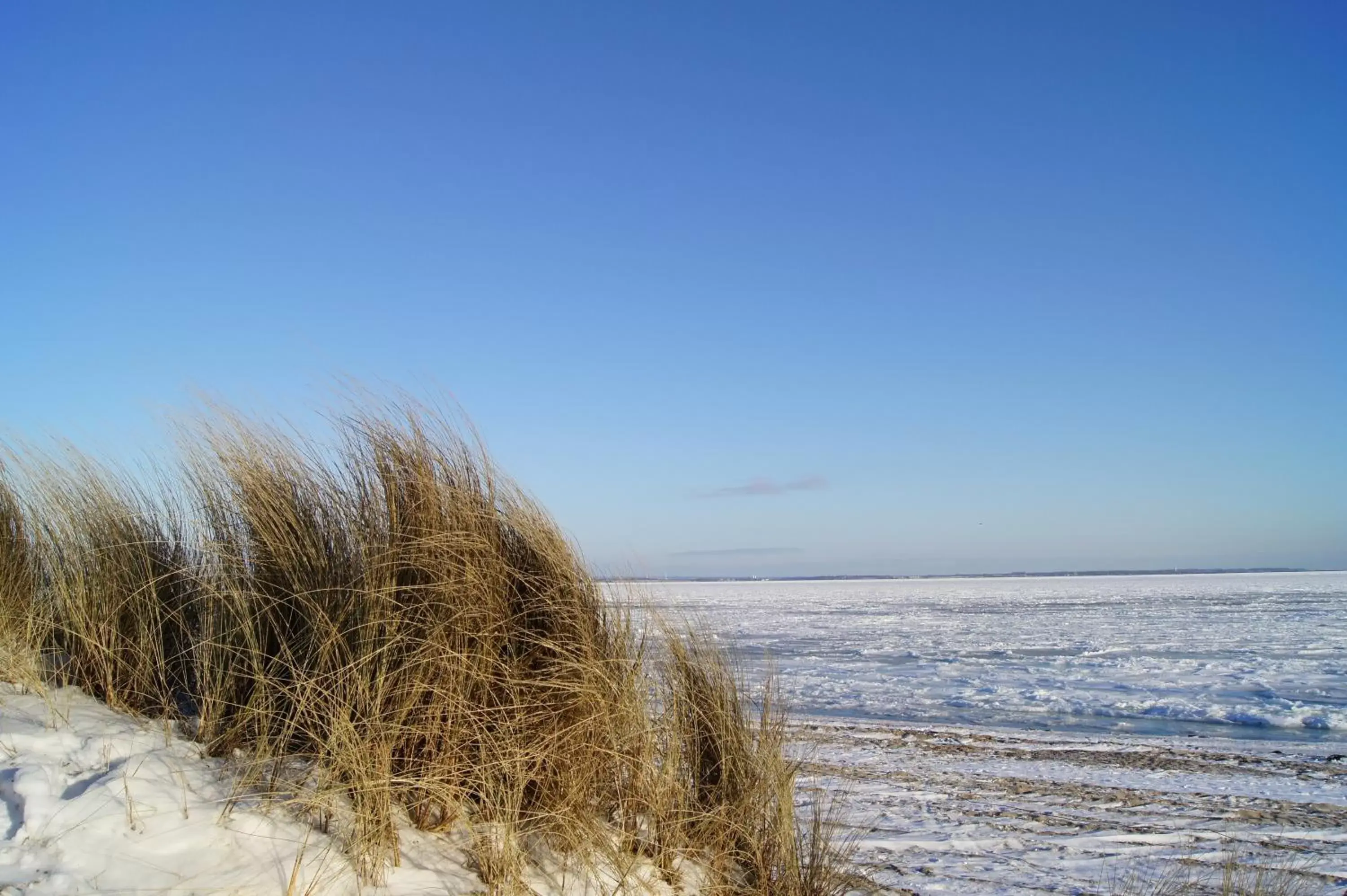 Natural landscape in Country Hotel Timmendorfer Strand