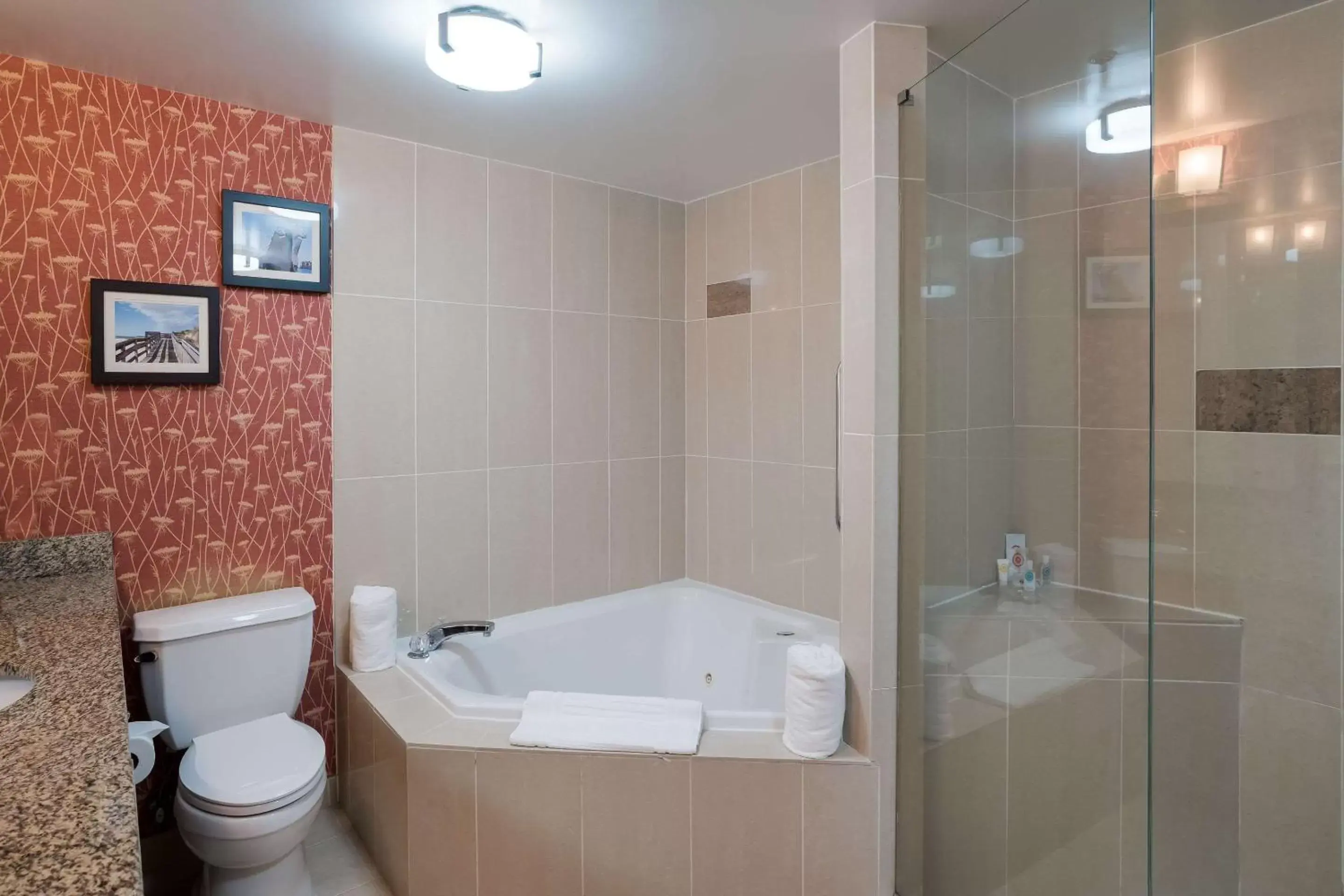 Bedroom, Bathroom in Comfort Suites Suffolk – Chesapeake