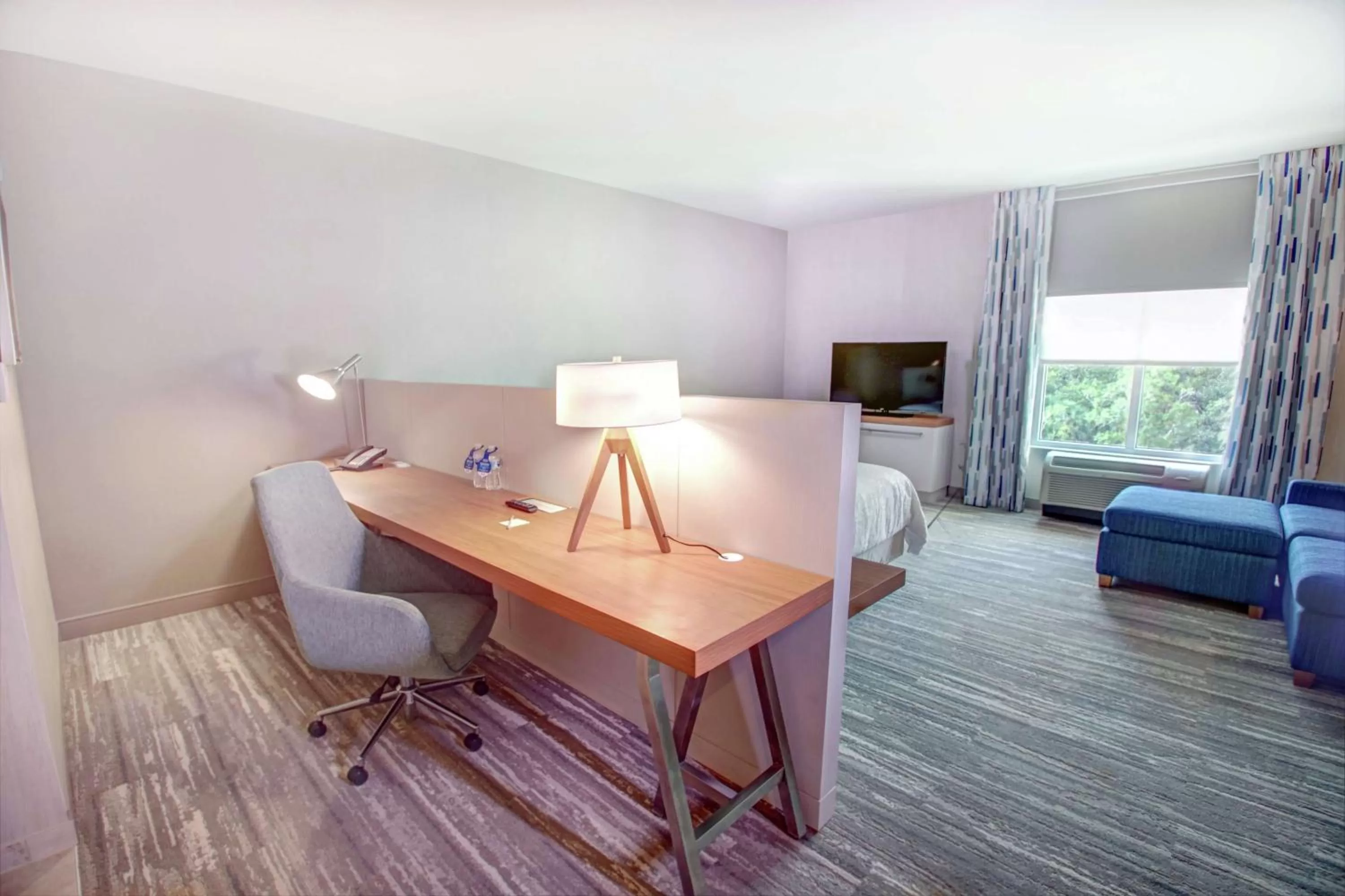 King Room - Mobility Accessible with Roll In Shower in Hilton Garden Inn Tampa - Wesley Chapel