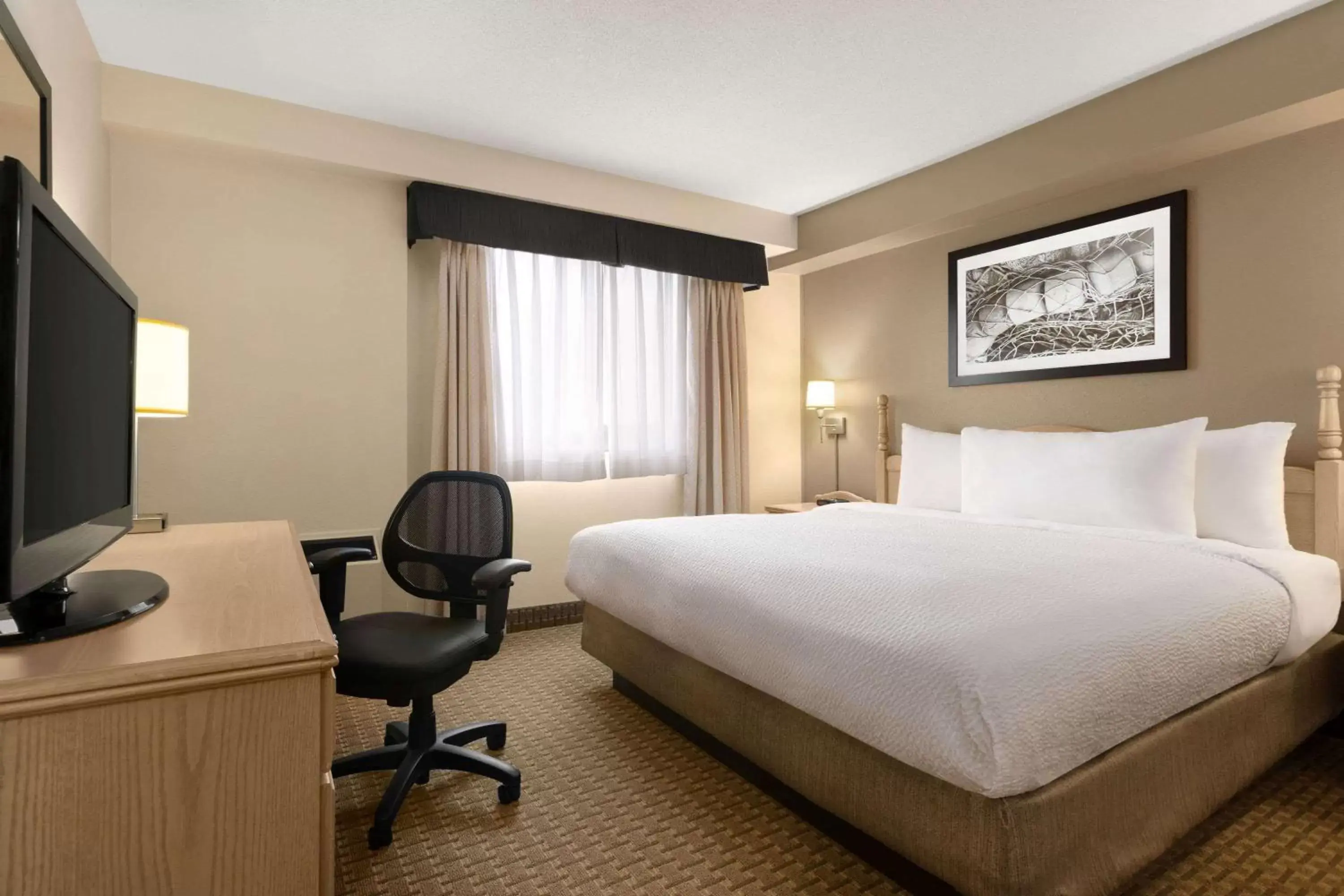 Photo of the whole room in Travelodge Suites by Wyndham Moncton