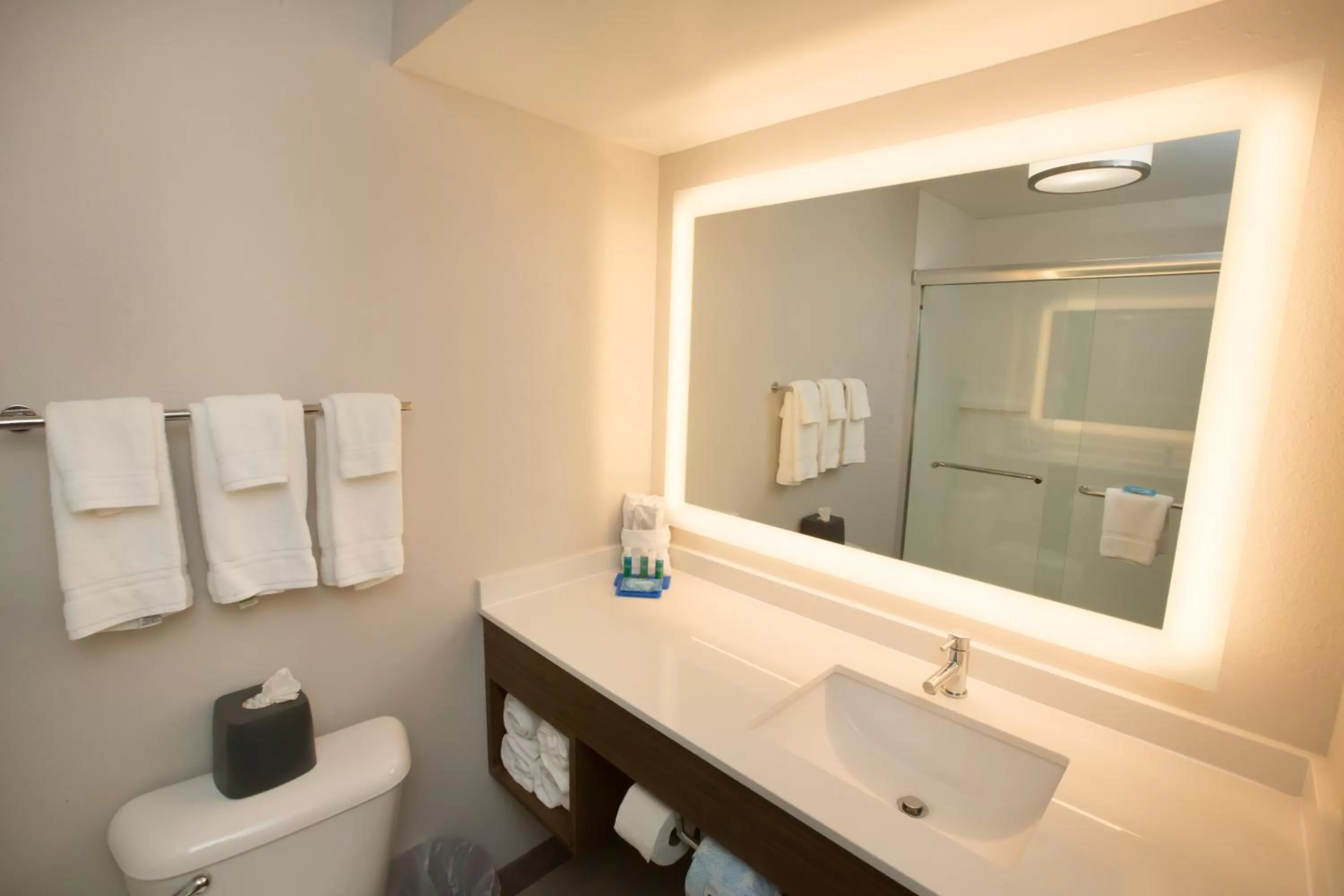 Bathroom in Holiday Inn Express Hotel & Suites Madison by IHG