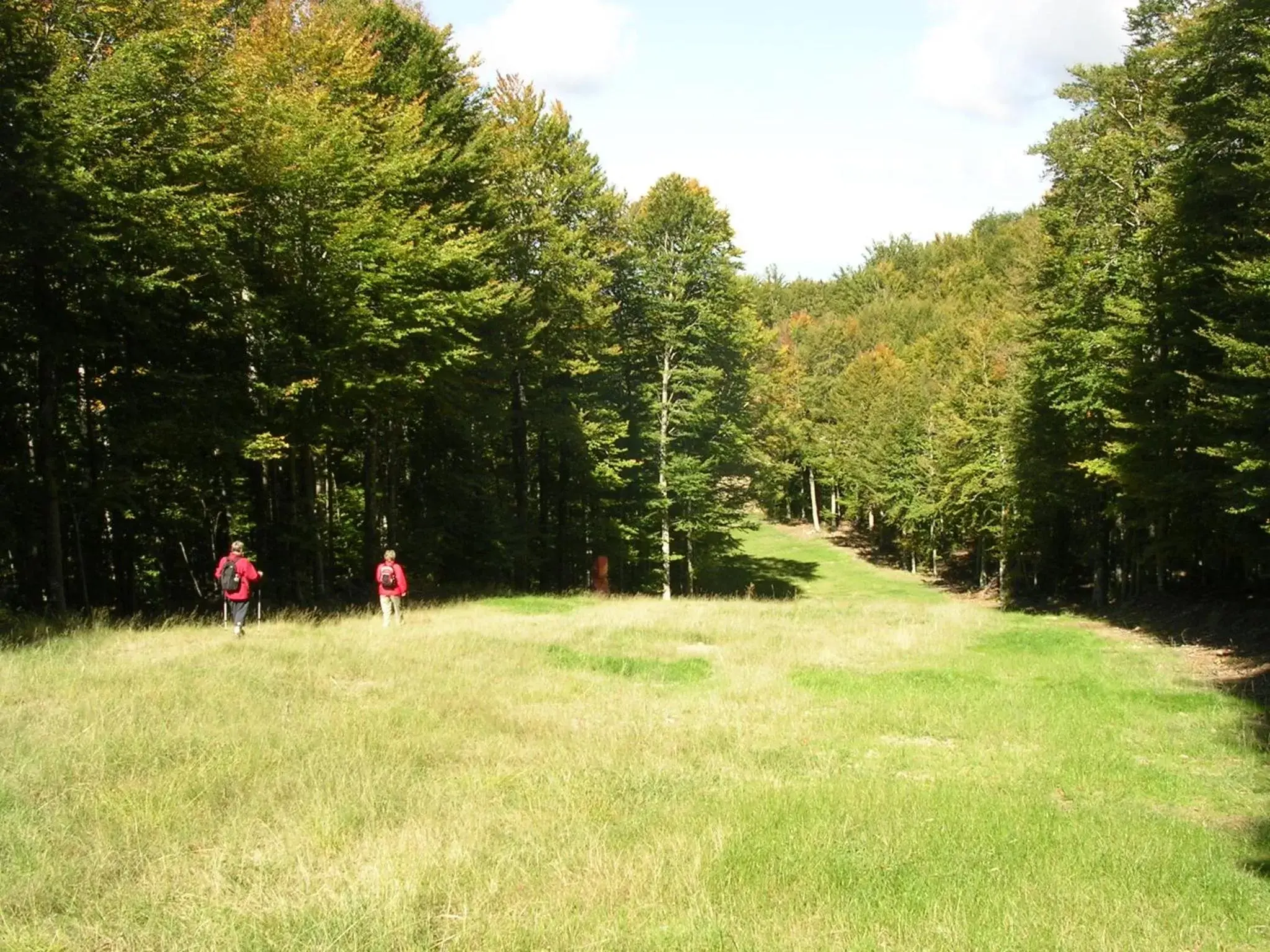 Hiking in Albergo Le Macinaie - Monte Amiata