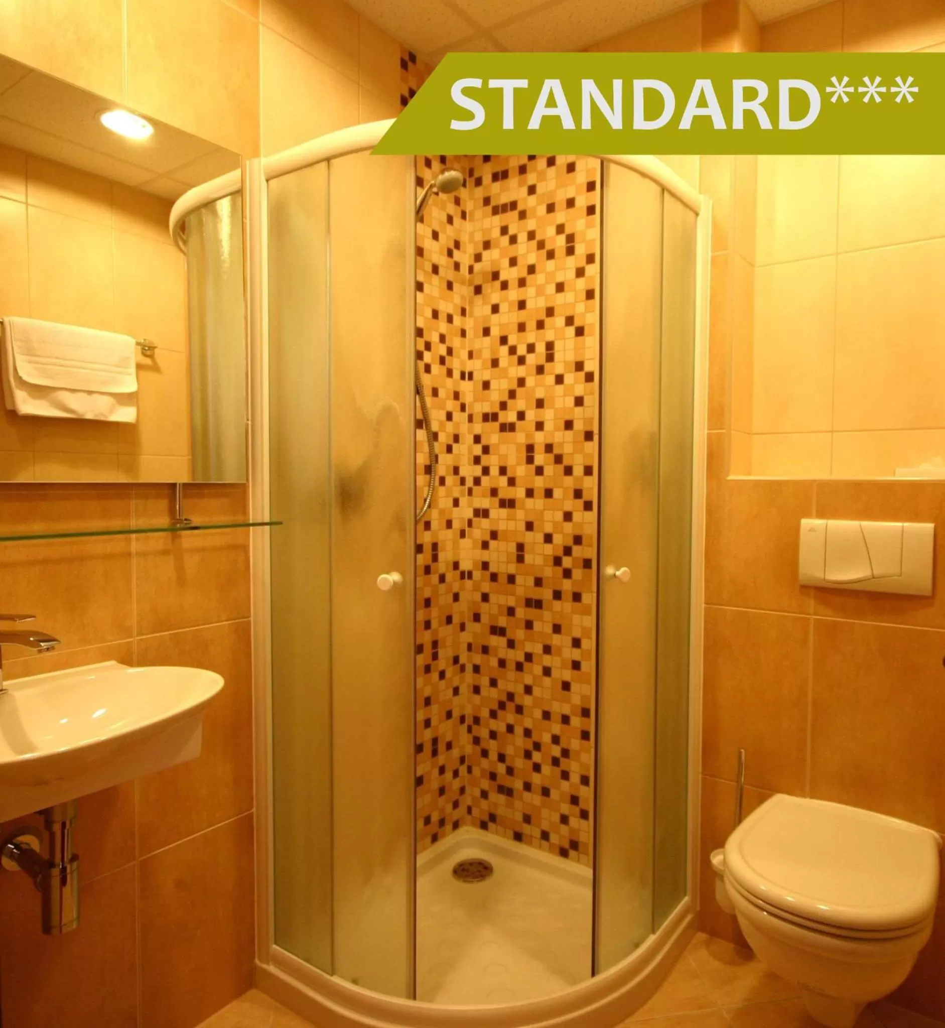 Shower in Hotel Ludmila