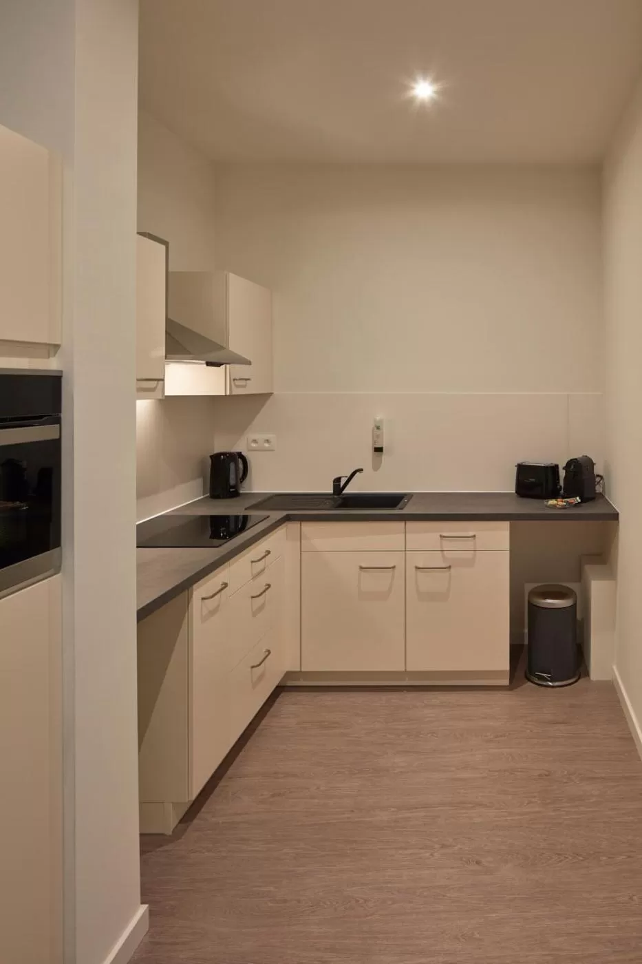 Kitchen or kitchenette in Alpha Hotel and Aparthotel