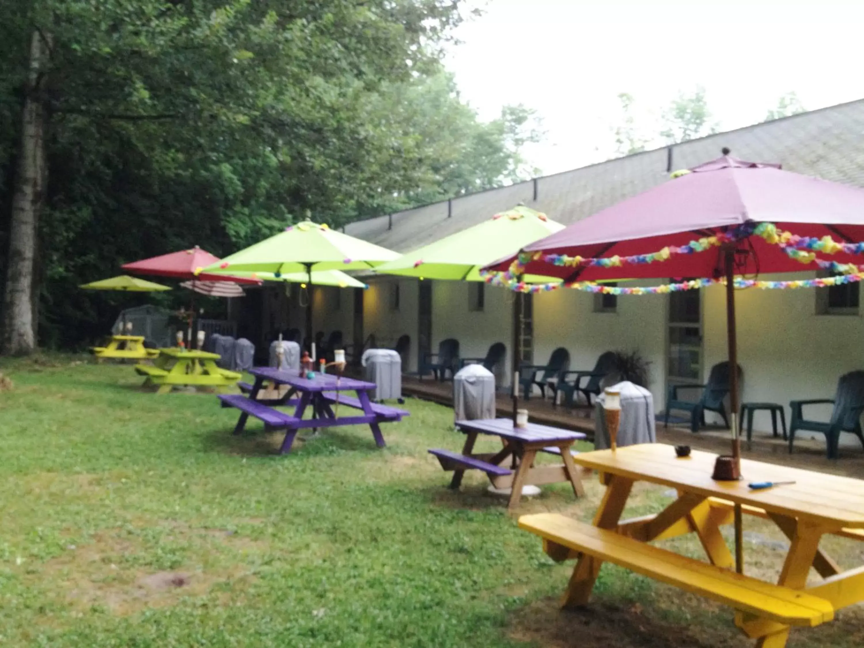 BBQ facilities, Restaurant/Places to Eat in Starlite Motel & Suites