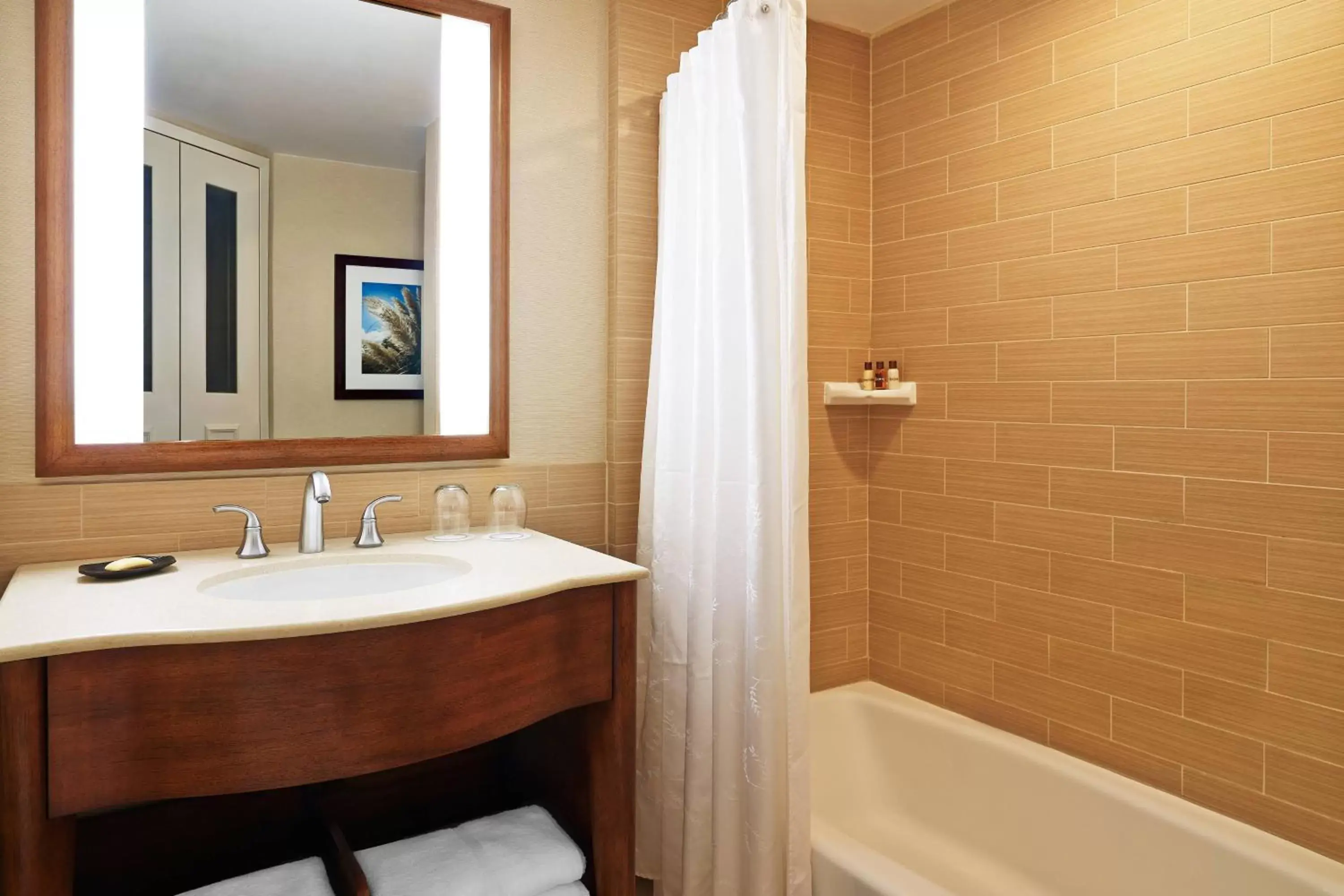 Bathroom in Sheraton Augusta Hotel