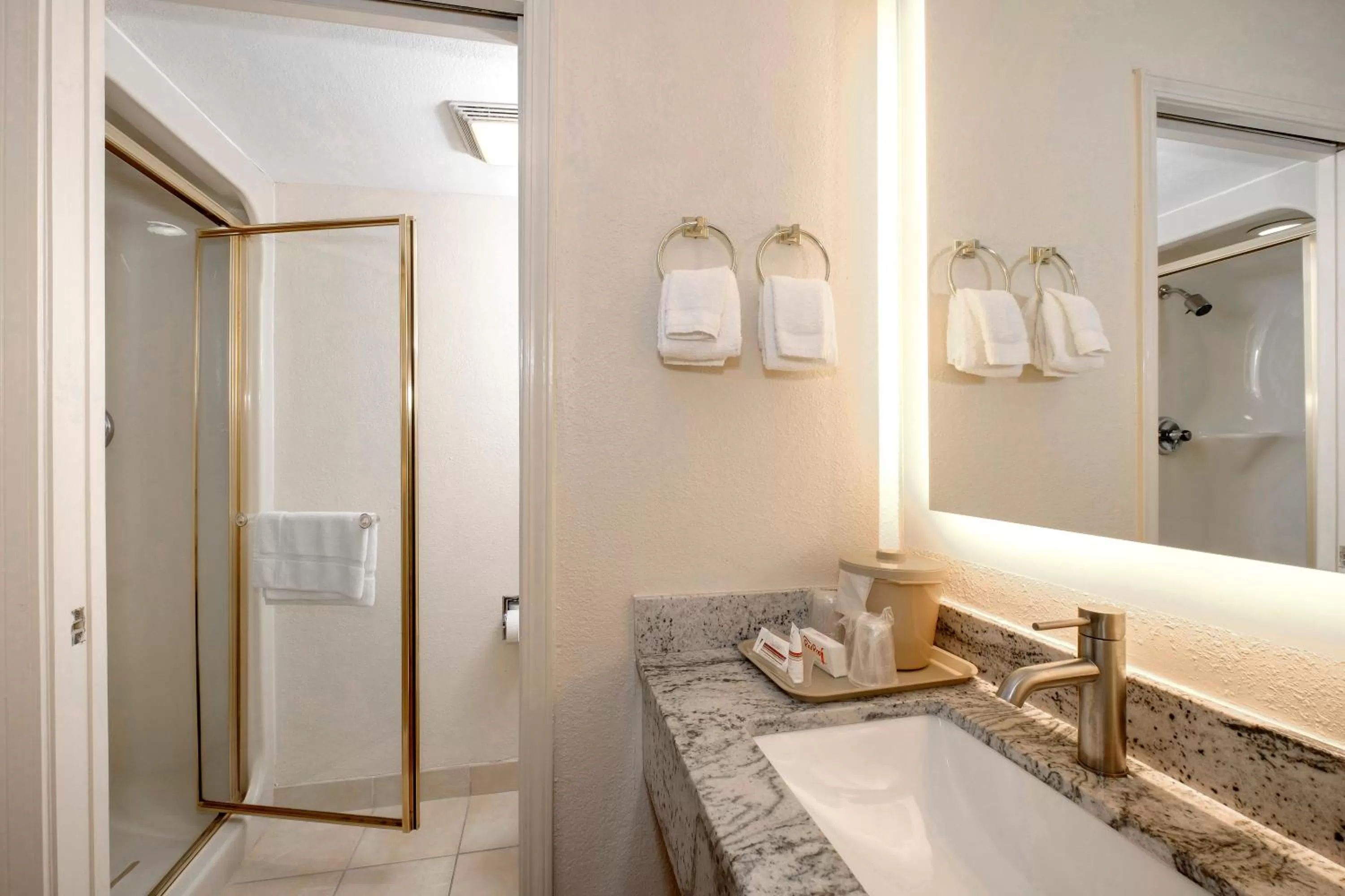 Bathroom, Bed in Red Roof Inn Pensacola Fairgrounds