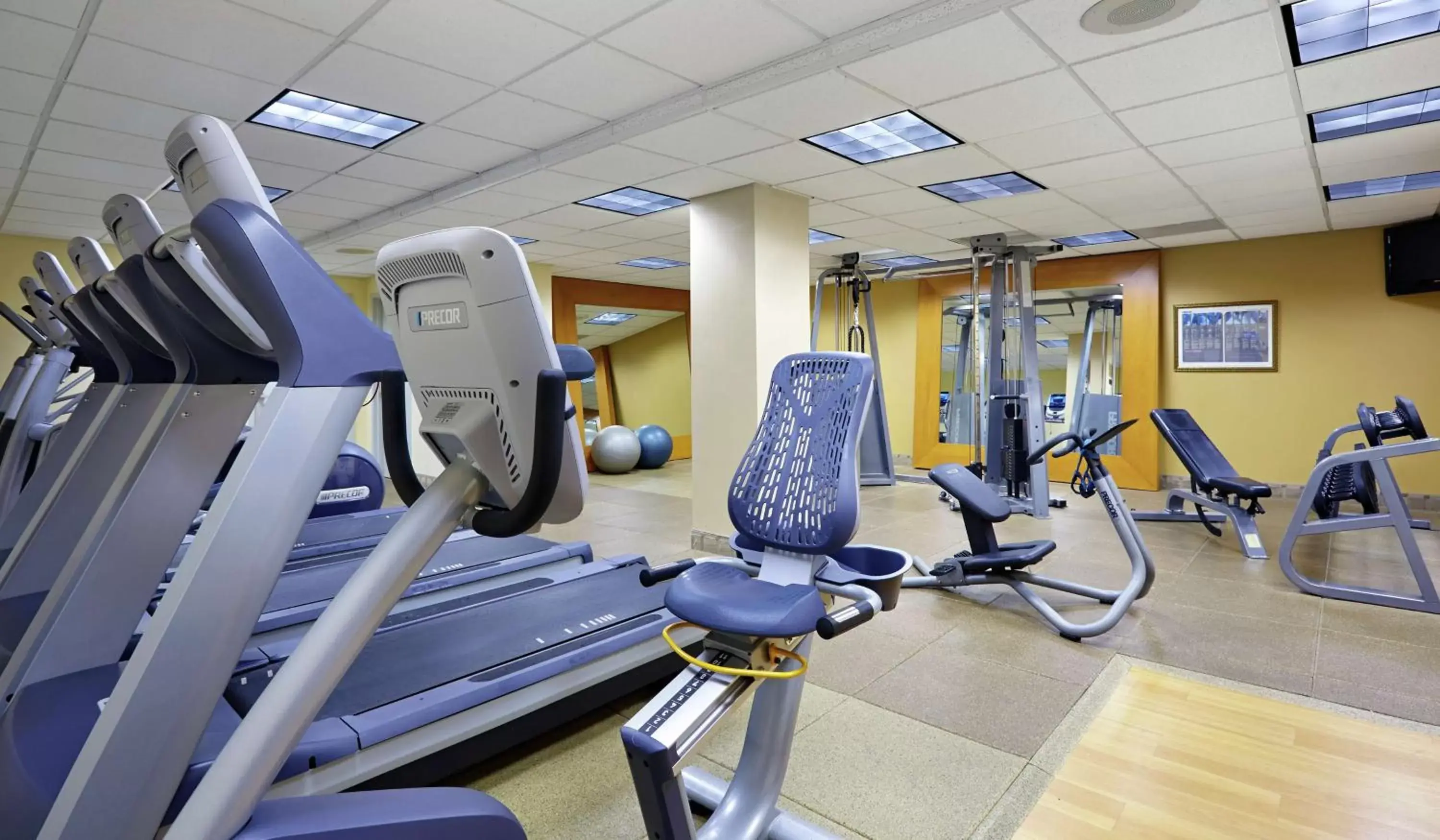 Fitness centre/facilities, Fitness Center/Facilities in Hilton Newark Airport