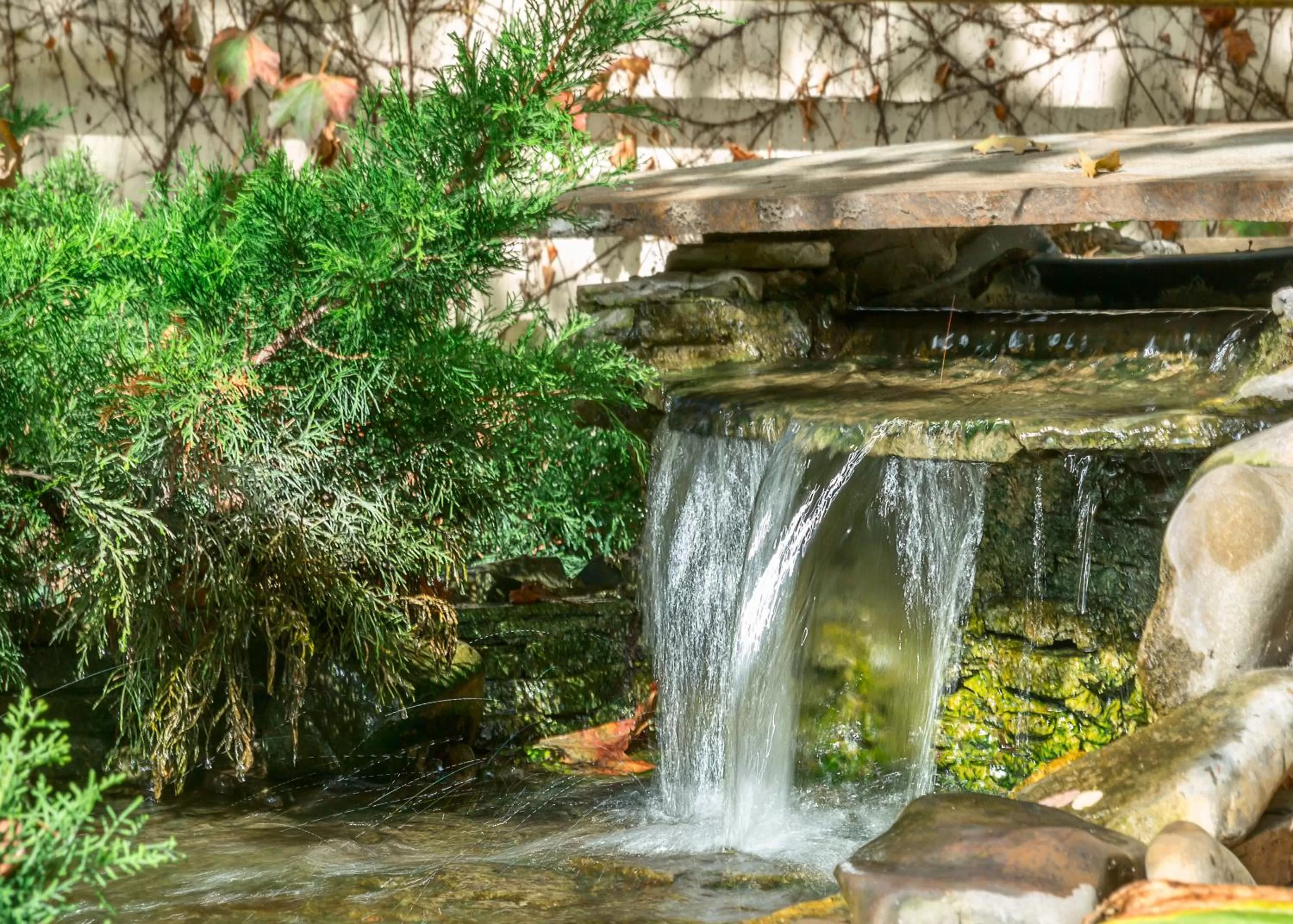 Restaurant/places to eat in Lermontovskiy Hotel