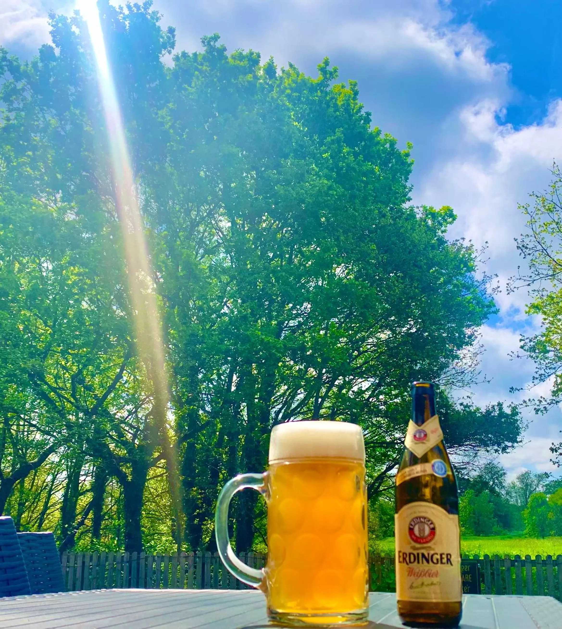 Garden in Crown & Anchor