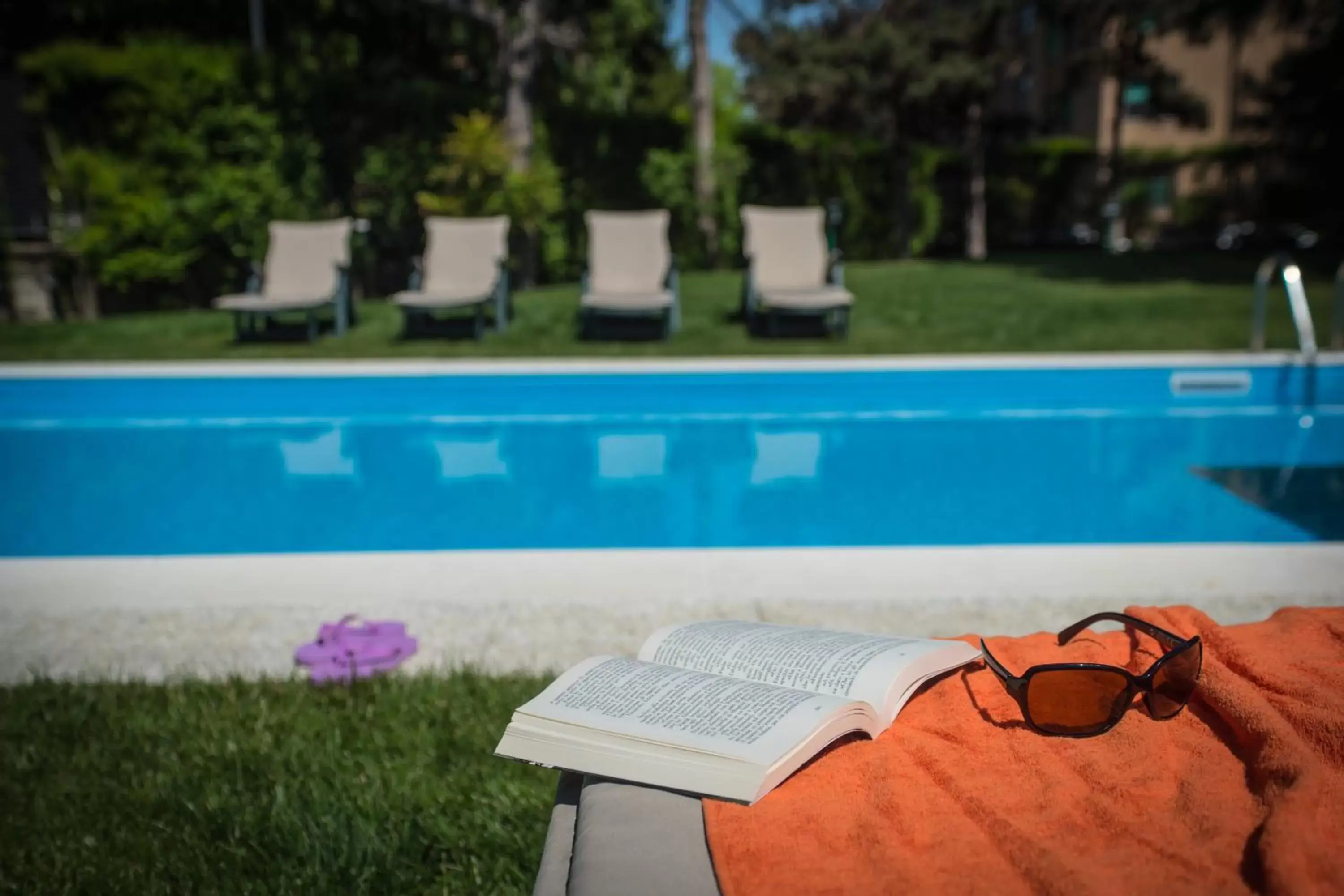 Summer, Swimming Pool in Corvetto Residence Porto Di Mare