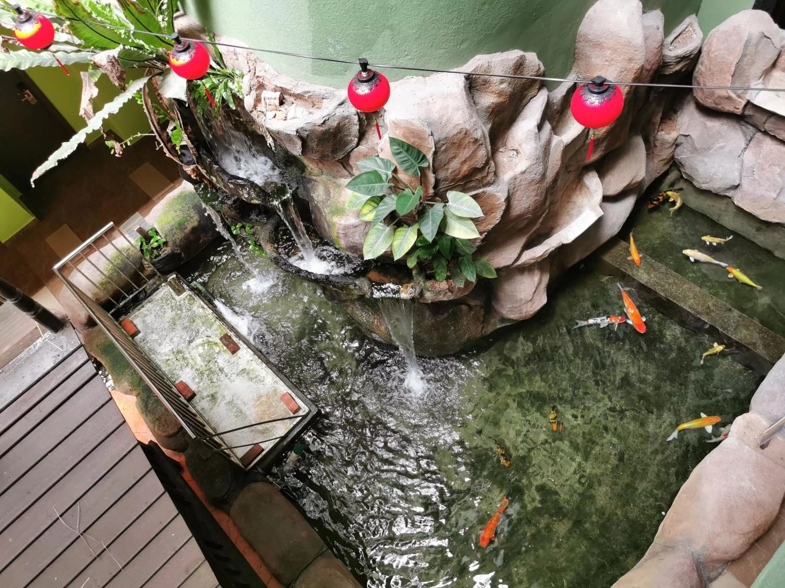 Garden view in Melang Inn