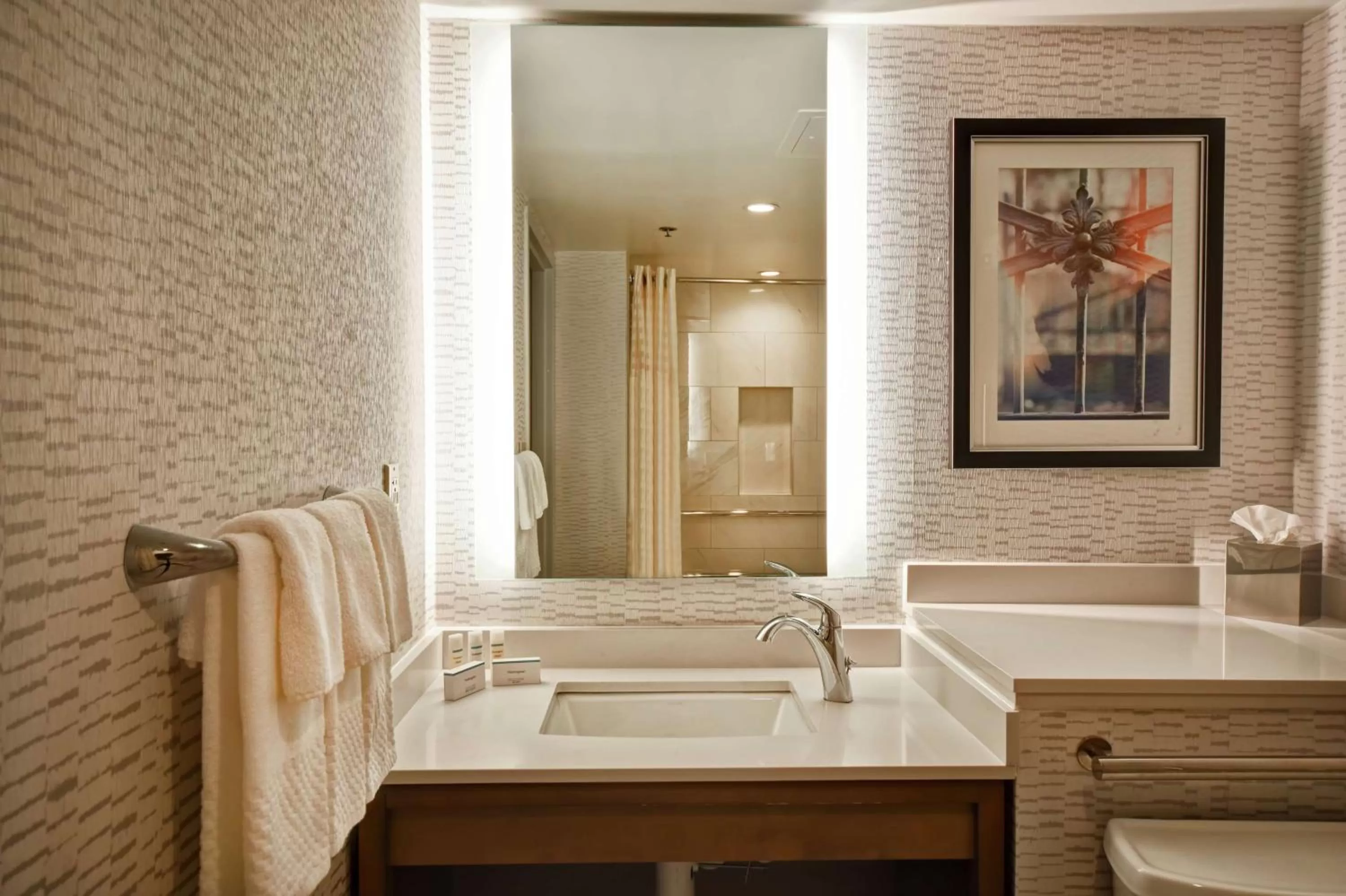 Bathroom in Embassy Suites by Hilton Omaha Downtown Old Market